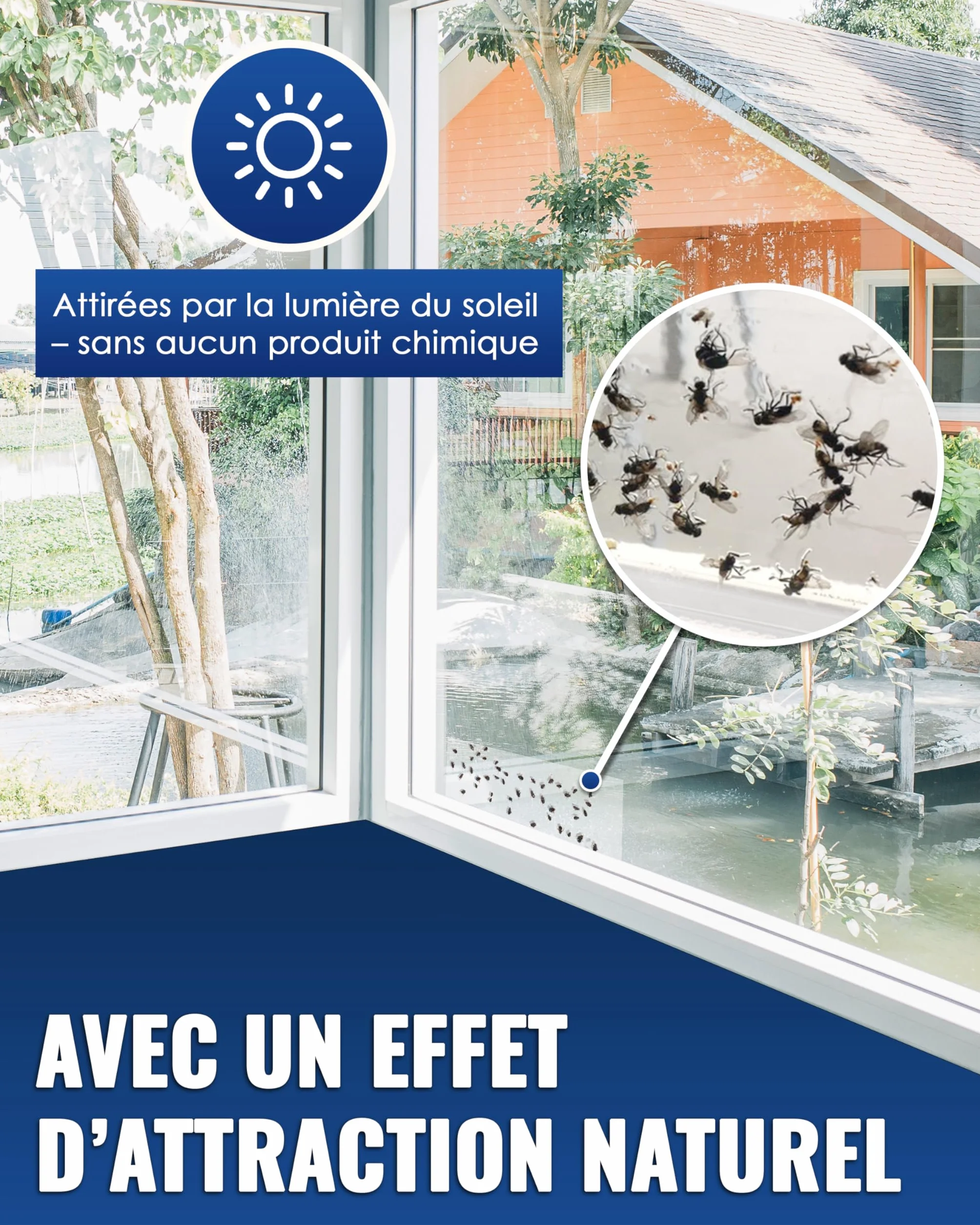 Piège à Mouche pour fenêtre 16 pièces Anti Mouche, Attrape Mouche Non Toxique inodore