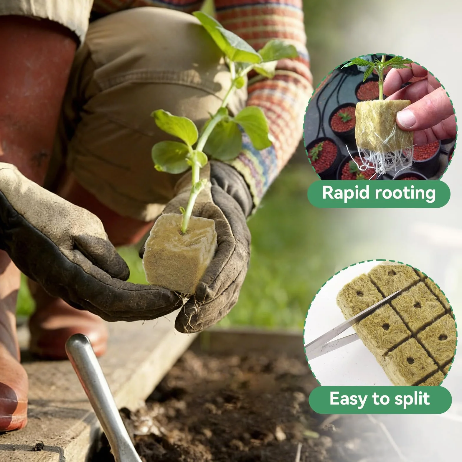 Cubes de Laine de Roche Respirant 2,5x2,5x2,5 cm 100 Pièces pour Hydroponie Boutures Plantation