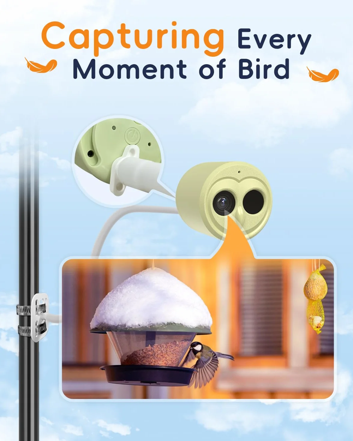 Hibird Caméra d'observation des oiseaux 5G IP66 avec identification IA et panneau solaire