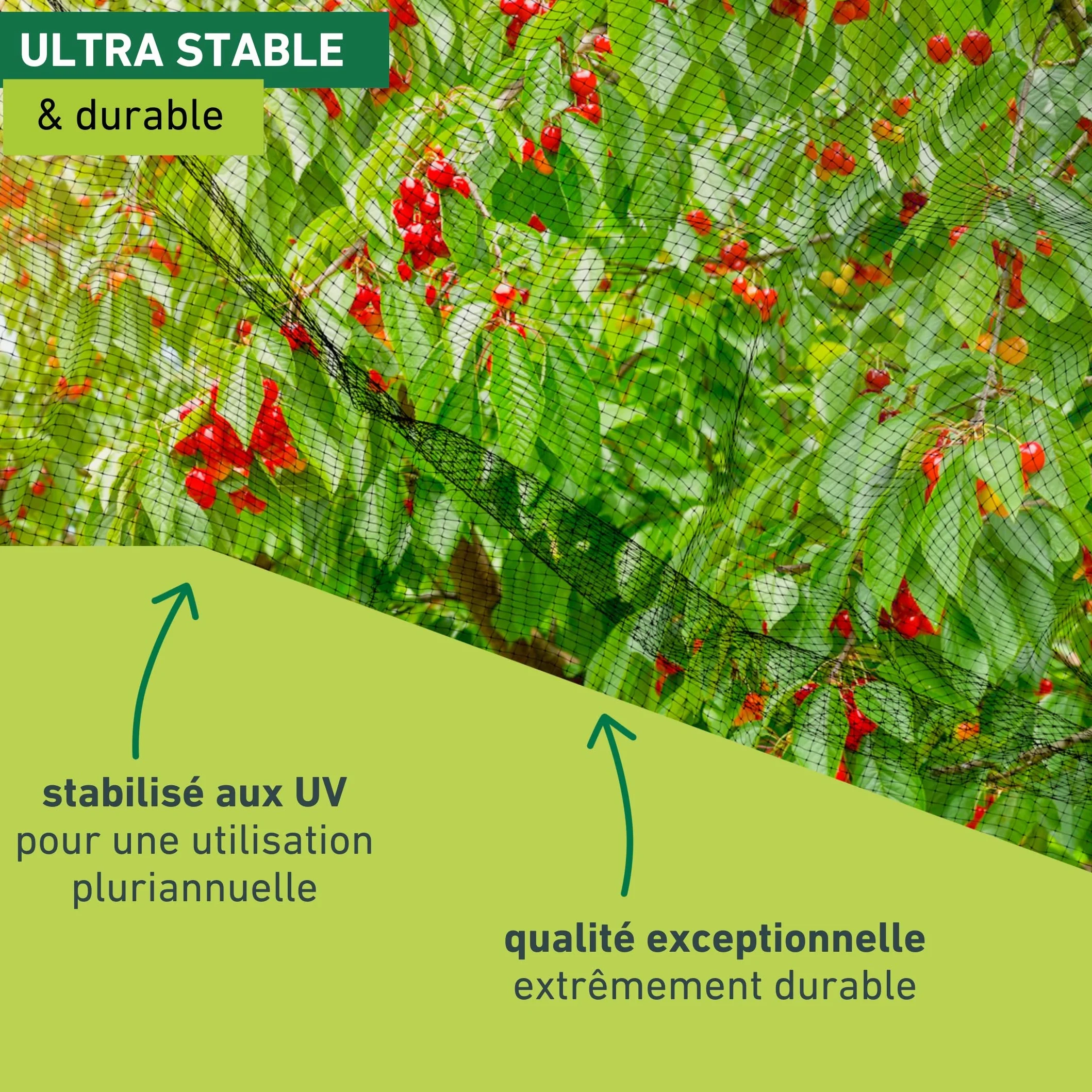 Windhager Filet Anti-Oiseaux 5 x 2 m Maille 13 x 13 mm, Protection Jardin Potager, Noir