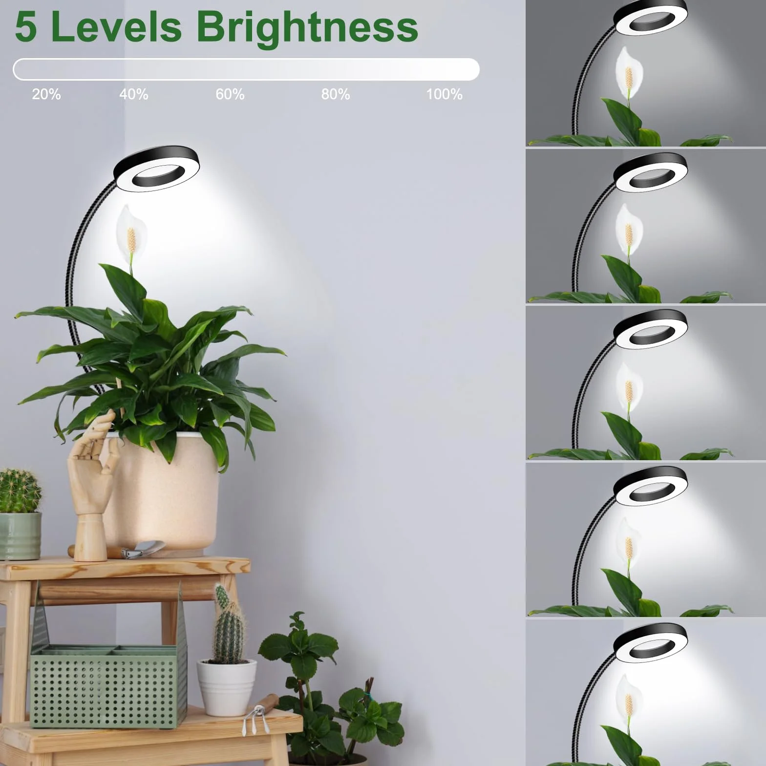 LED Pflanzenlampe Vollspektrum 6500K Grow Light mit 360° Schwanenhals, 3 Farbtemperatur, 5 Helligkeit, Timer