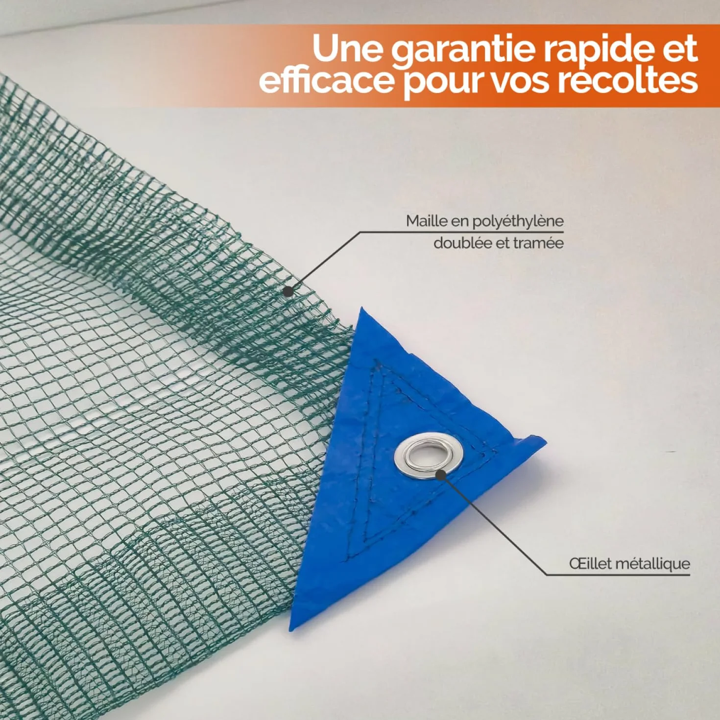 Linxor Filet de récolte Olives 6 x 6 m avec Oeillets