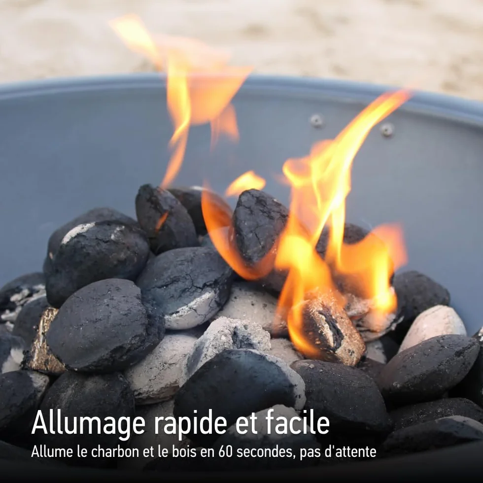 TEXAS CLUB Allumeur électrique barbecue 2000 W câble 3,2 m
