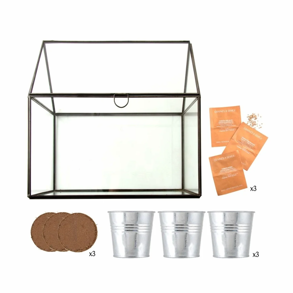 Serre avec châssis zinc noir Tomates bio 3 pots