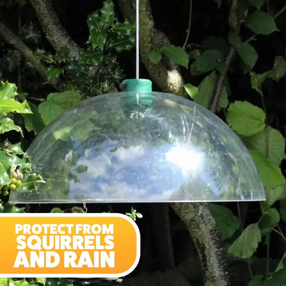 Grand Universel 40cm Transparent Mangeoire Oiseaux Accessoire