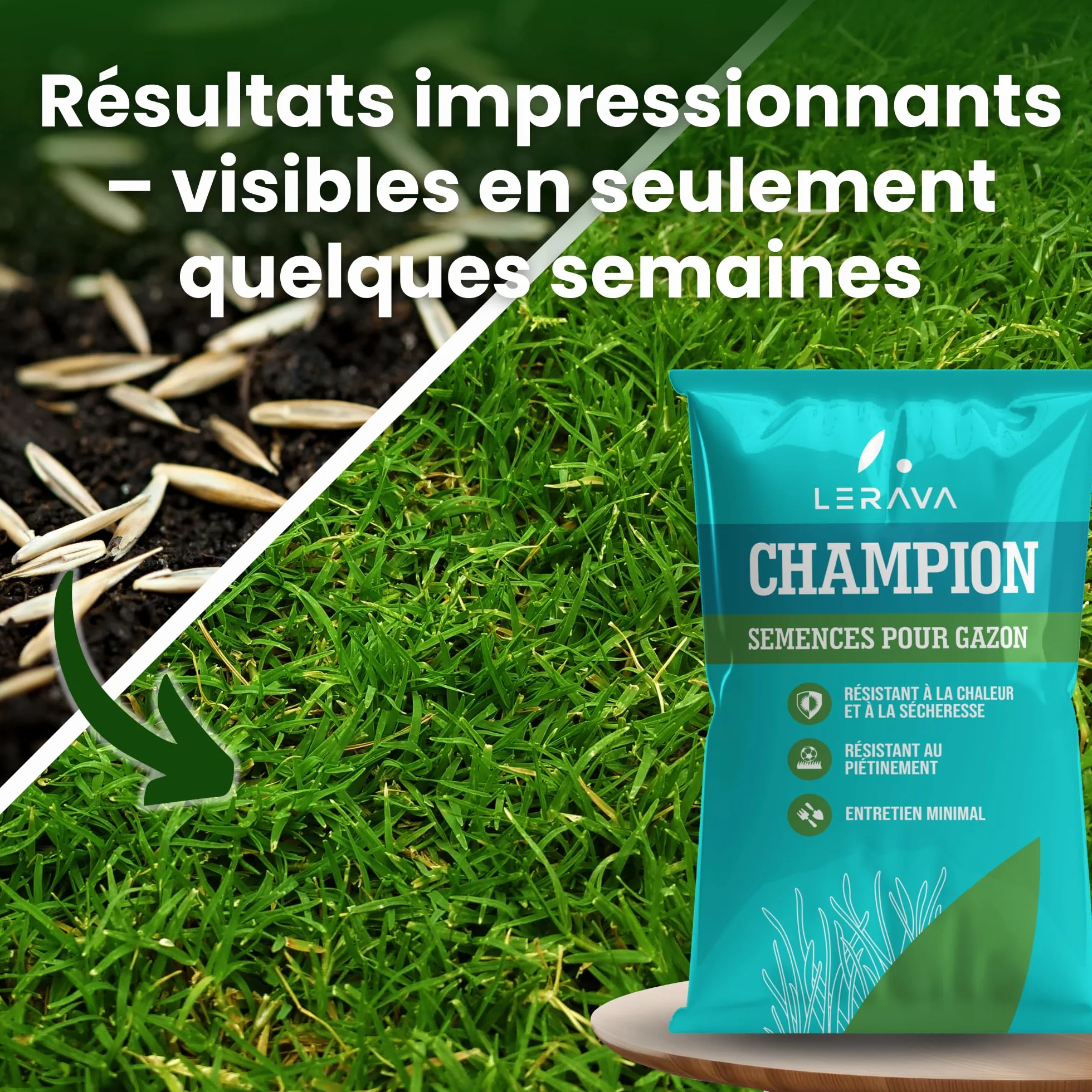 LERAVA CHAMPION Gazon à Semer 30 m² - Graines Pelouse Résistantes Sécheresse - Croissance Rapide Densité Maximale