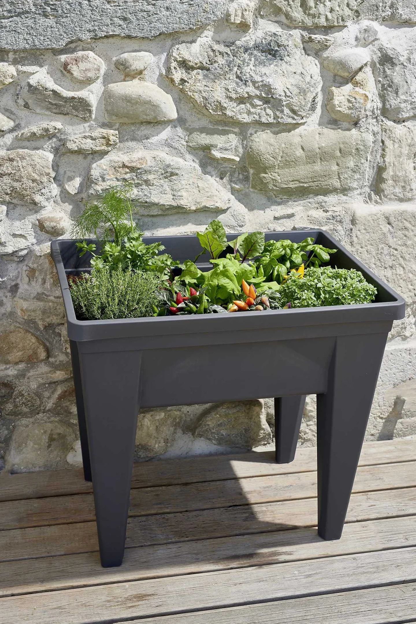 Espace Potager Veg&Table MAX 85L Zone Rétention d'Eau Pieds Creux 75,6 x 55,6 x 68 cm Gris Anthracite