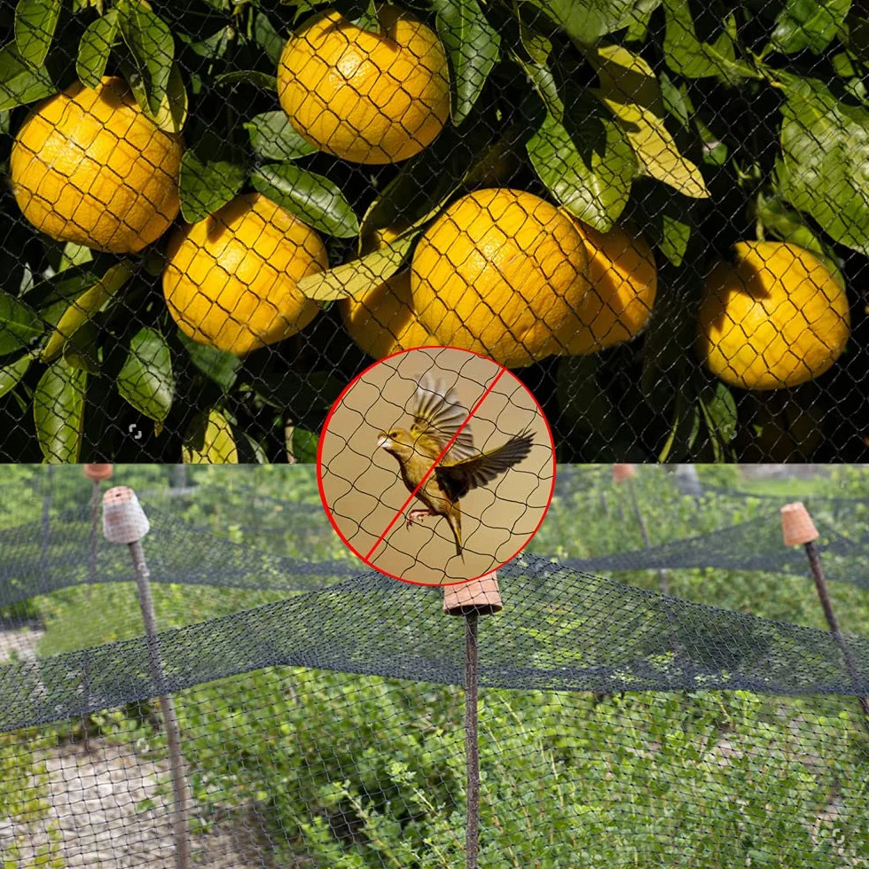 Filet Anti Oiseaux Noir 4m x 10m Protection Arbres Fruitiers Jardin