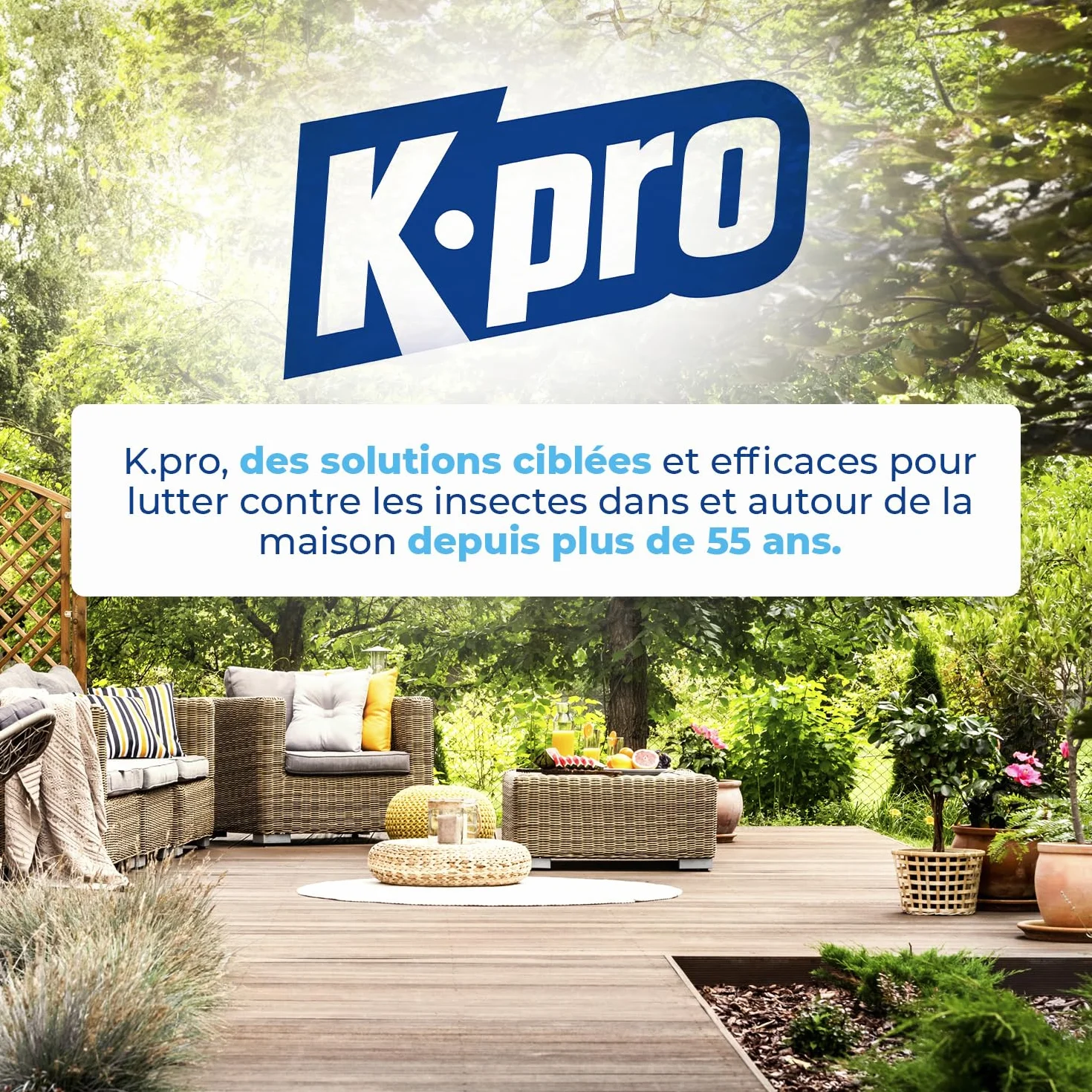 Gel Anti Fourmis K.PRO 15g Élimine Nid Action Radicale Intérieur Extérieur