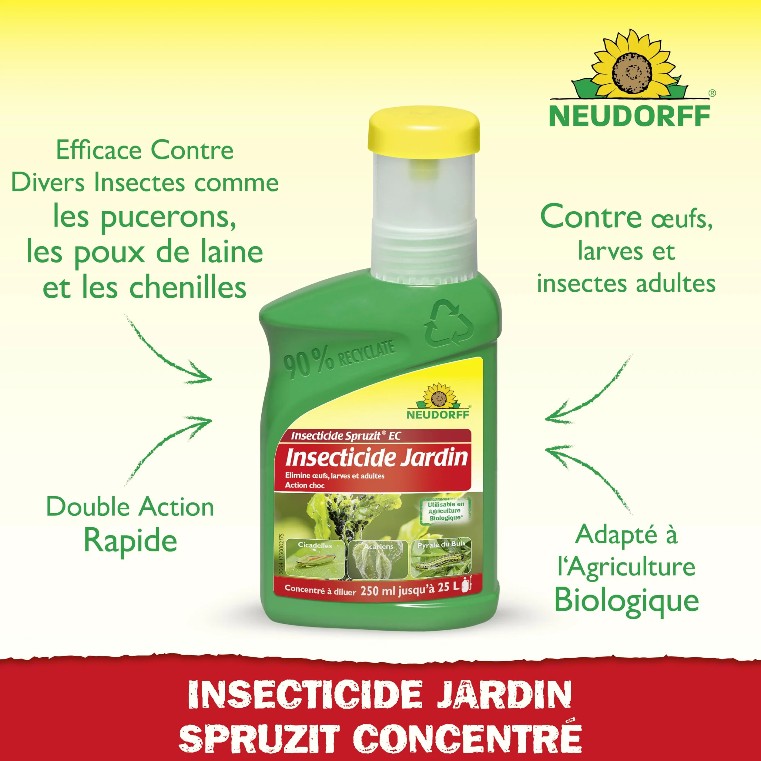 Neudorff Spruzit Insecticide Jardin Concentré 250 ml - Combat pucerons, cochenilles, ravageurs