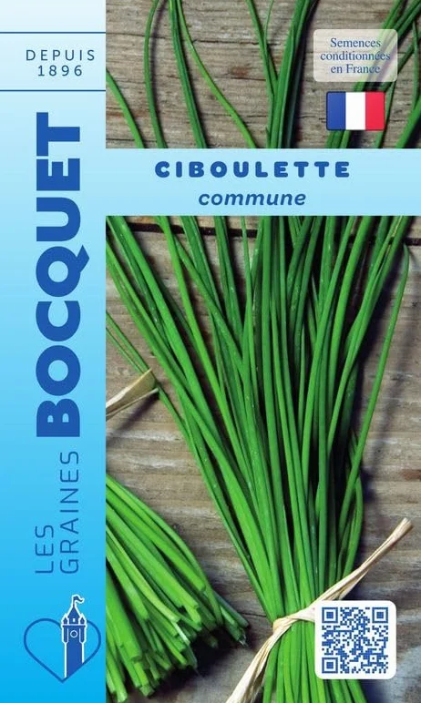 Sachet de graines de Ciboulette Commune 1 g LES GRAINES BOCQUET
