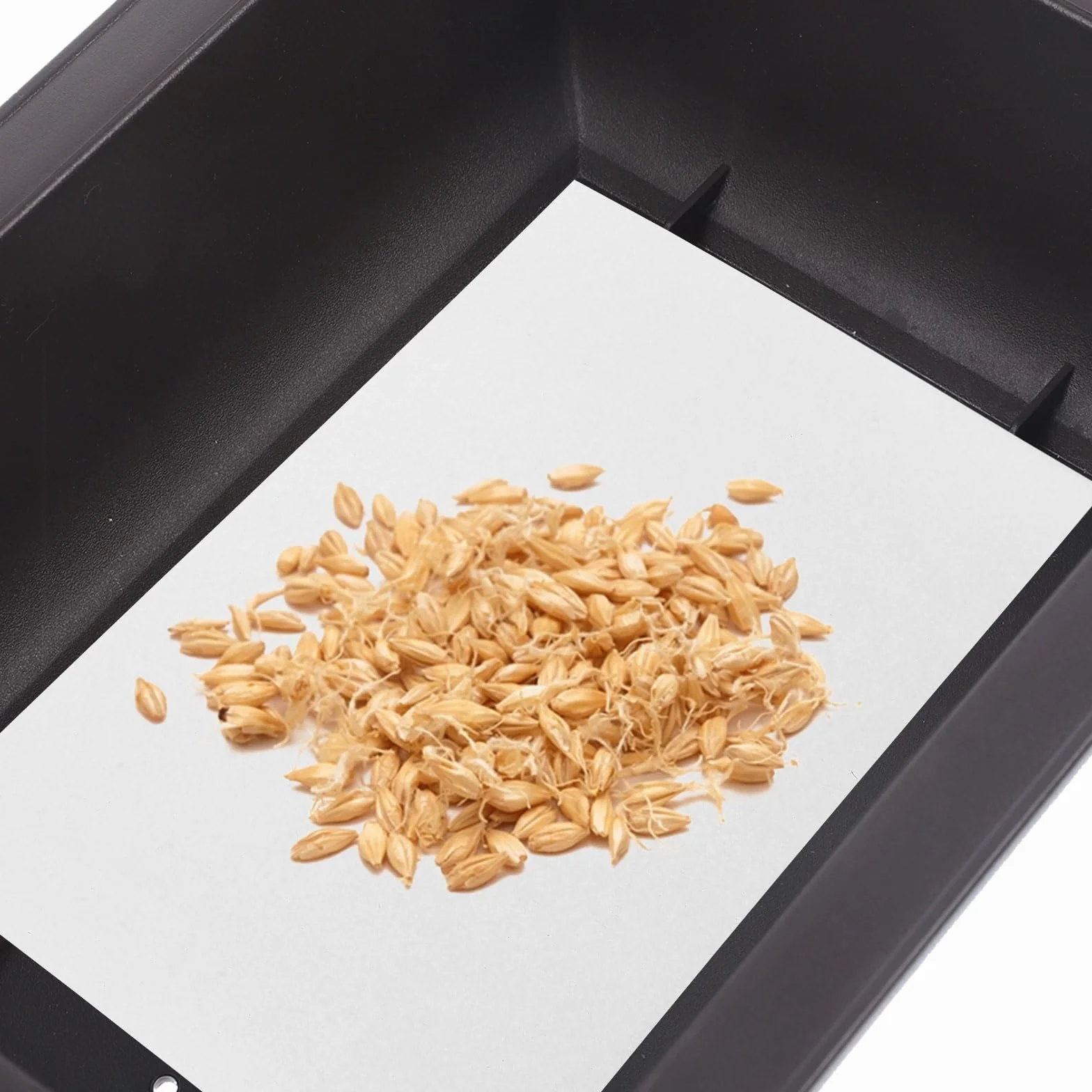 Supvox Lot de 100 Feuilles Papier Germination 19 x 27 cm Absorbant Pousses Microverts Culture Sans Terre