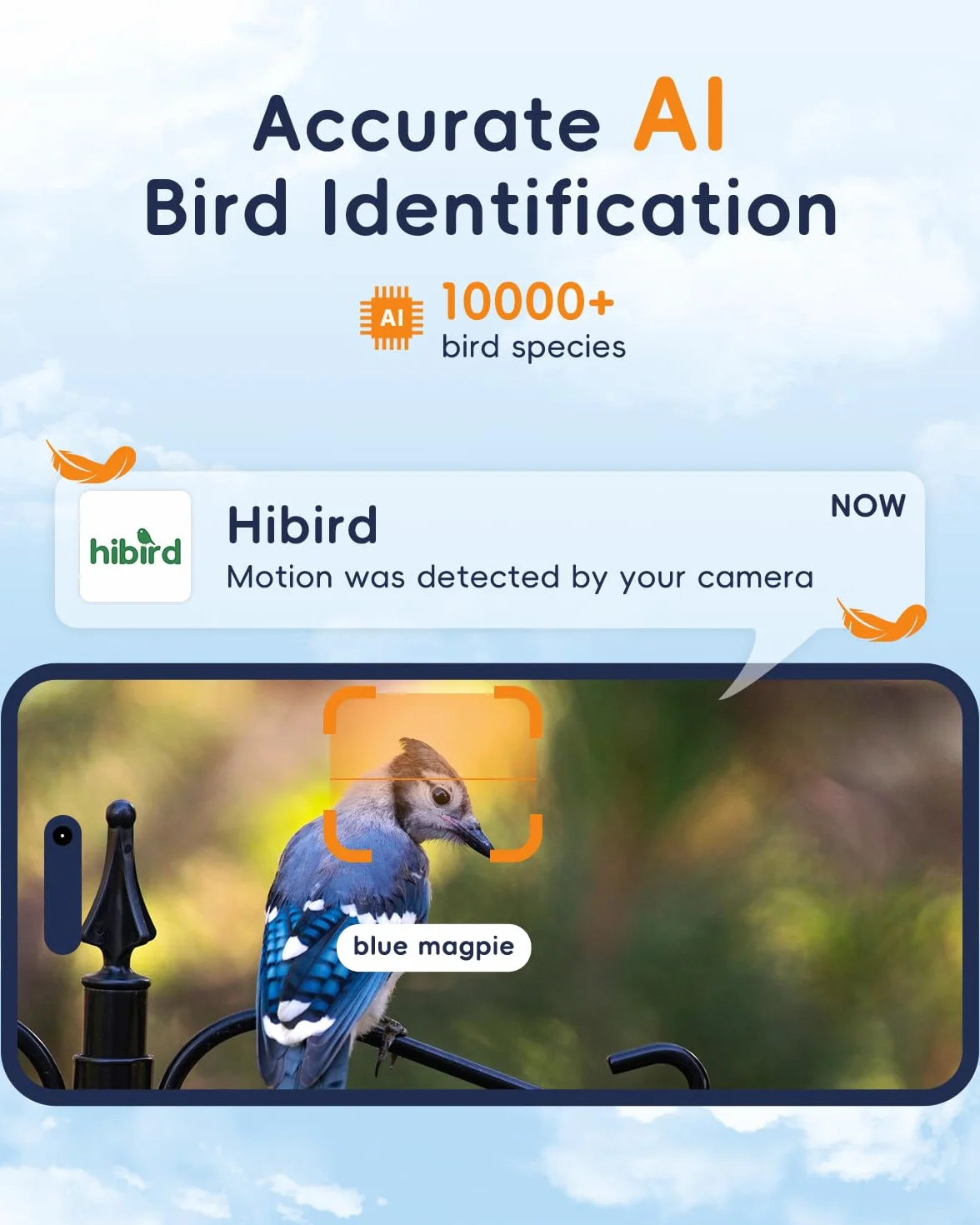 Hibird Caméra d'observation des oiseaux 5G IP66 avec identification IA et panneau solaire