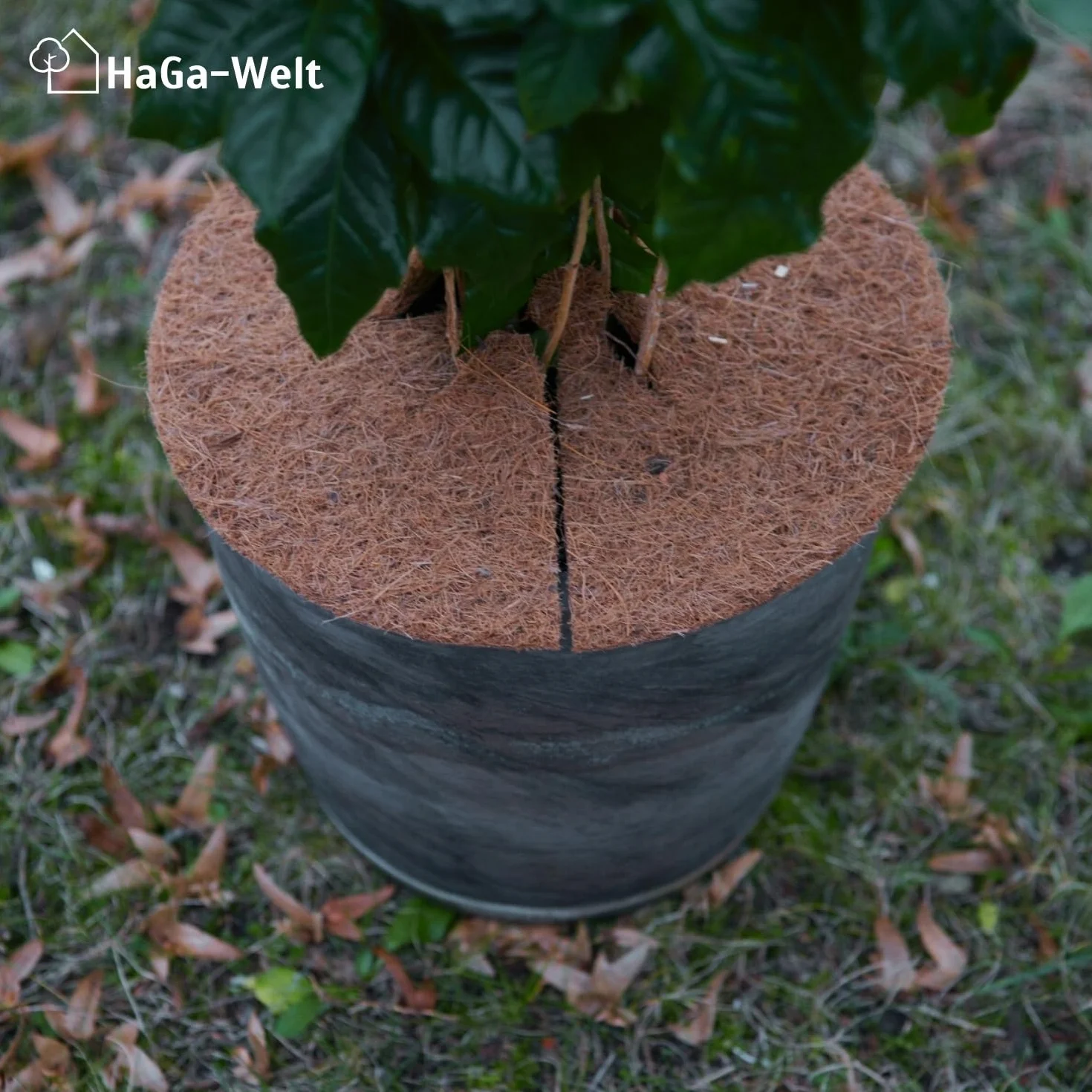 HaGa Lot de disques en Coco 2 x L Ø 45 cm + 2 x XL Ø 60 cm Protection hivernale pour Plantes en Pot