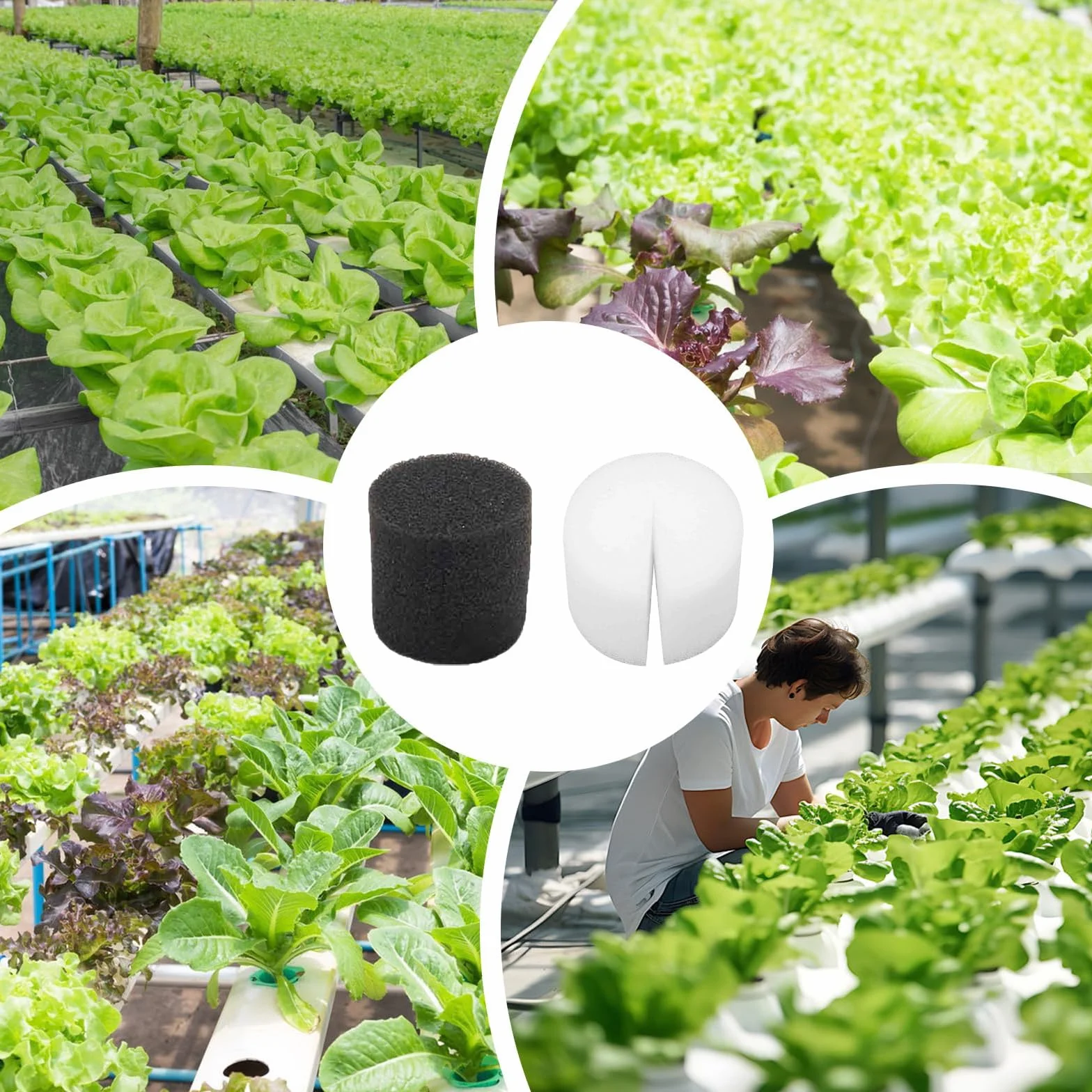 Système Hydroponique Éponge de Plantation 50 Pièces 32 x 30mm pour Légumes et Fleurs