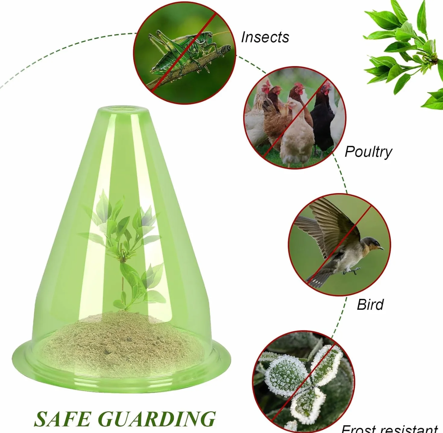 Cloches pour Plantes de Jardin 24 Pièces 24CM x 20CM Couvercle en Plastique Protection Contre Soleil Neige Gel Oiseaux Insectes