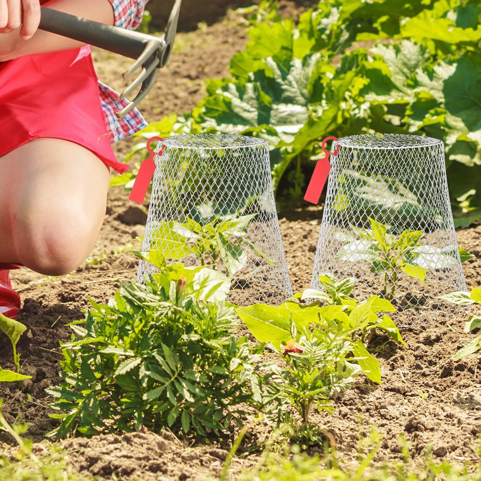 Cloche de Jardin en Métal 10PCS, Protection Plante, Blanc