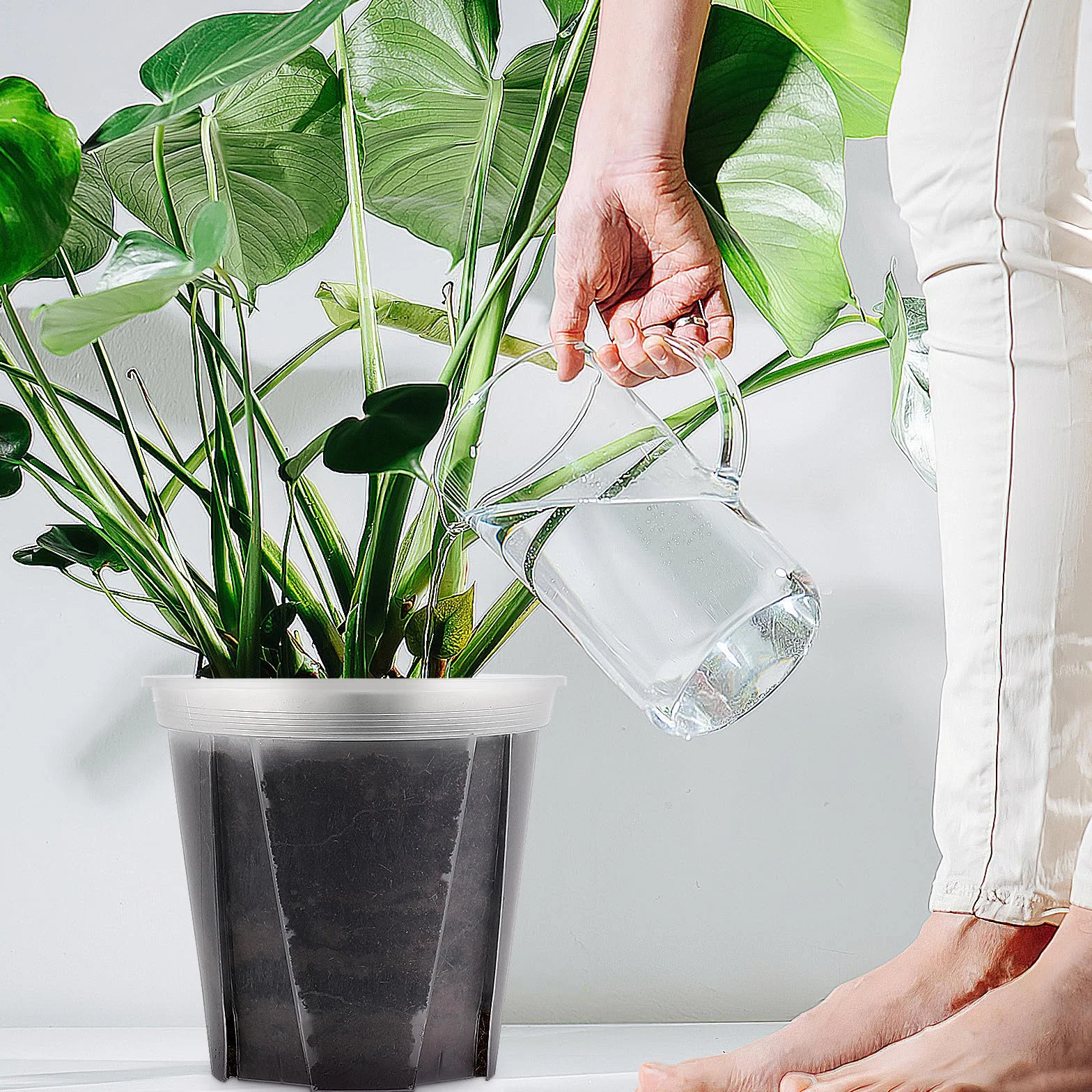 SEWACC Lot de 2 Pots de Pépinière Transparents 24 cm avec Trous de Drainage pour Succulentes Cactus Orchidées