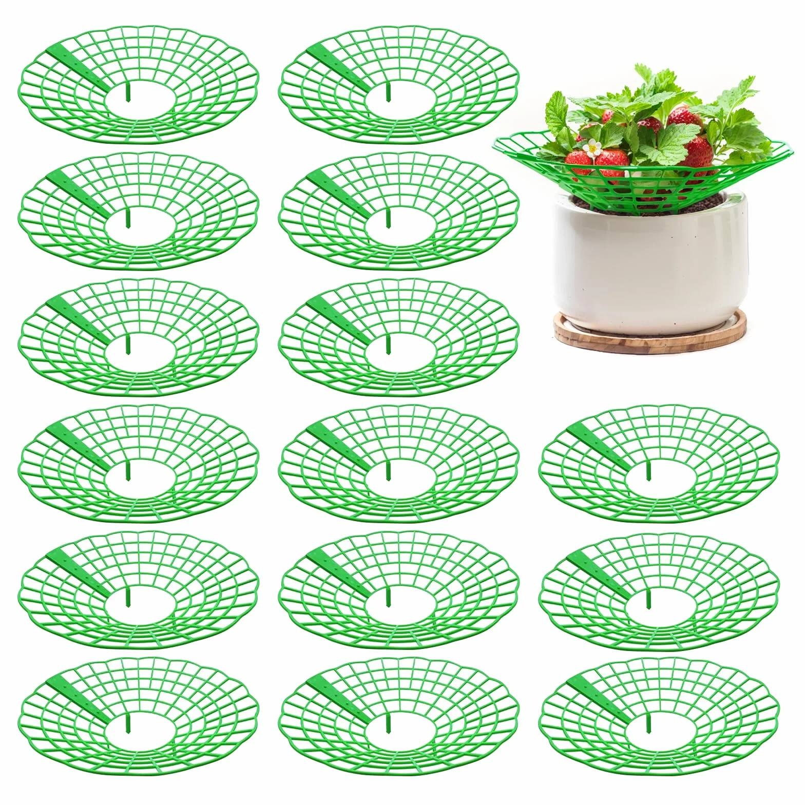 Amovible Support Culture Fraisier 15 Pièces Vert Protection Fraises Poussière Escargots