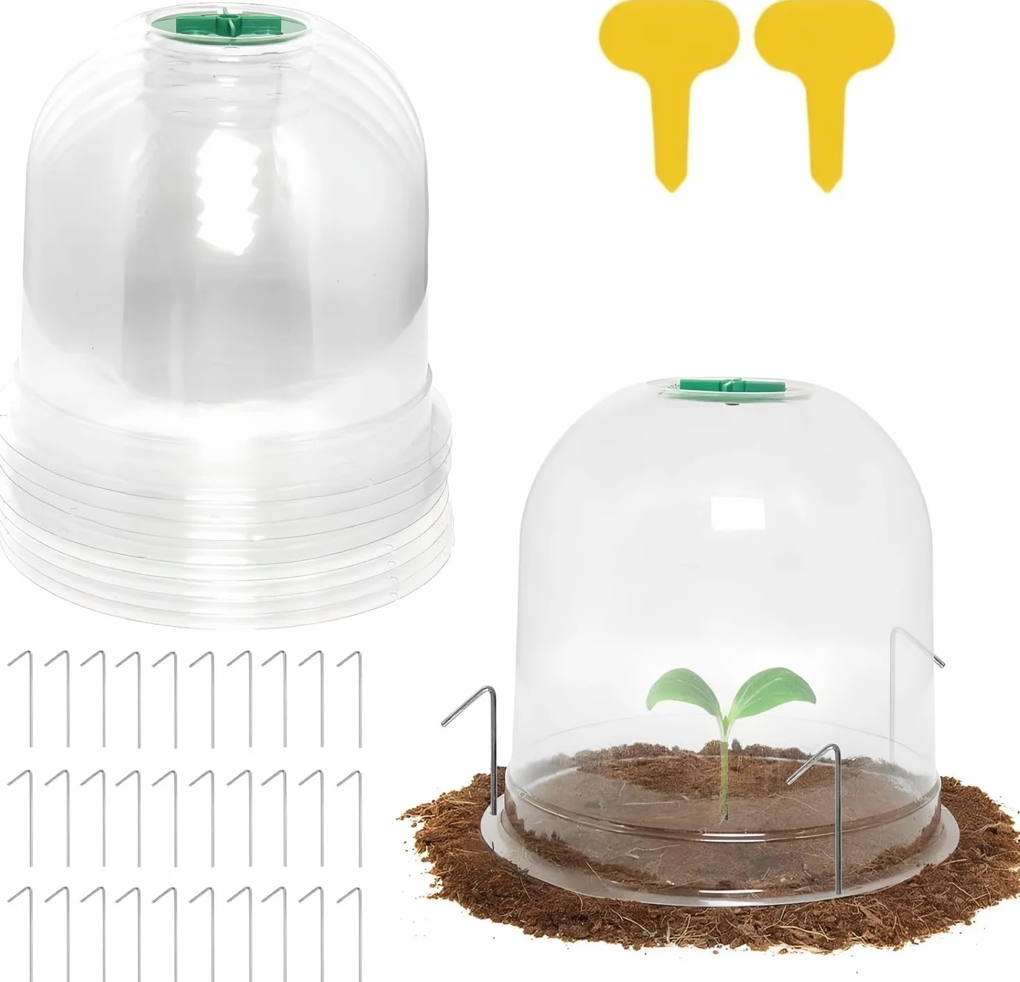 Cloche pour Plantes de Jardin LATERN 26CM x 20CM Mini Serre en Plastique 10 Pièces avec Piquets de Fixation
