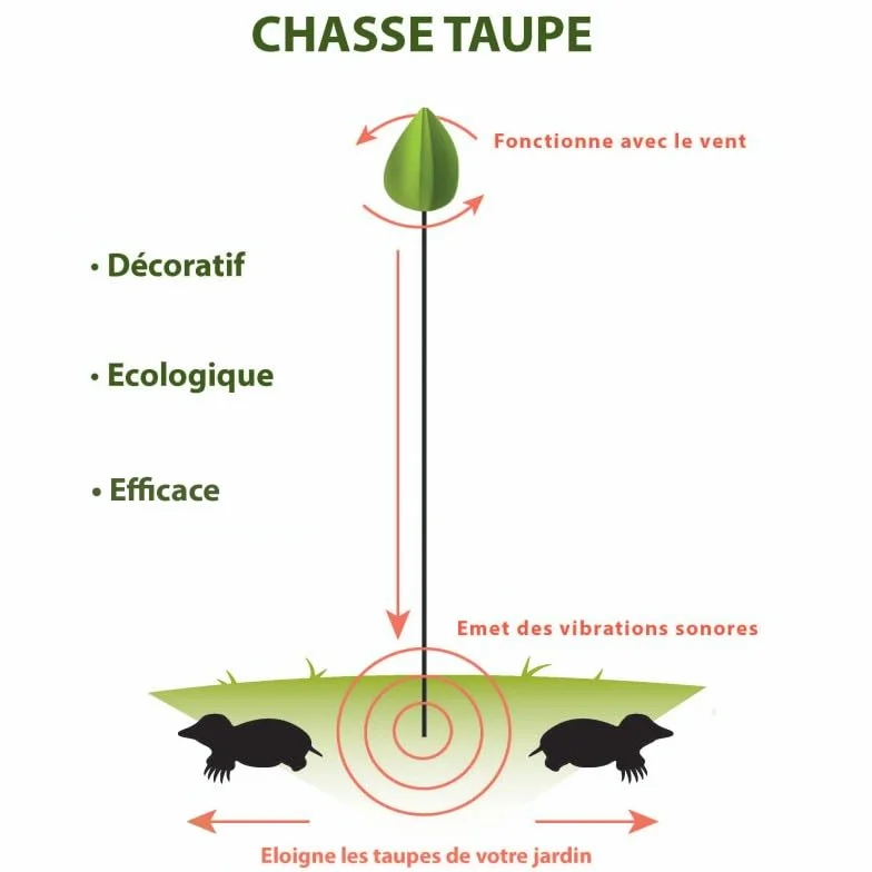 Iriso Chasse Taupe Naturel Rouge