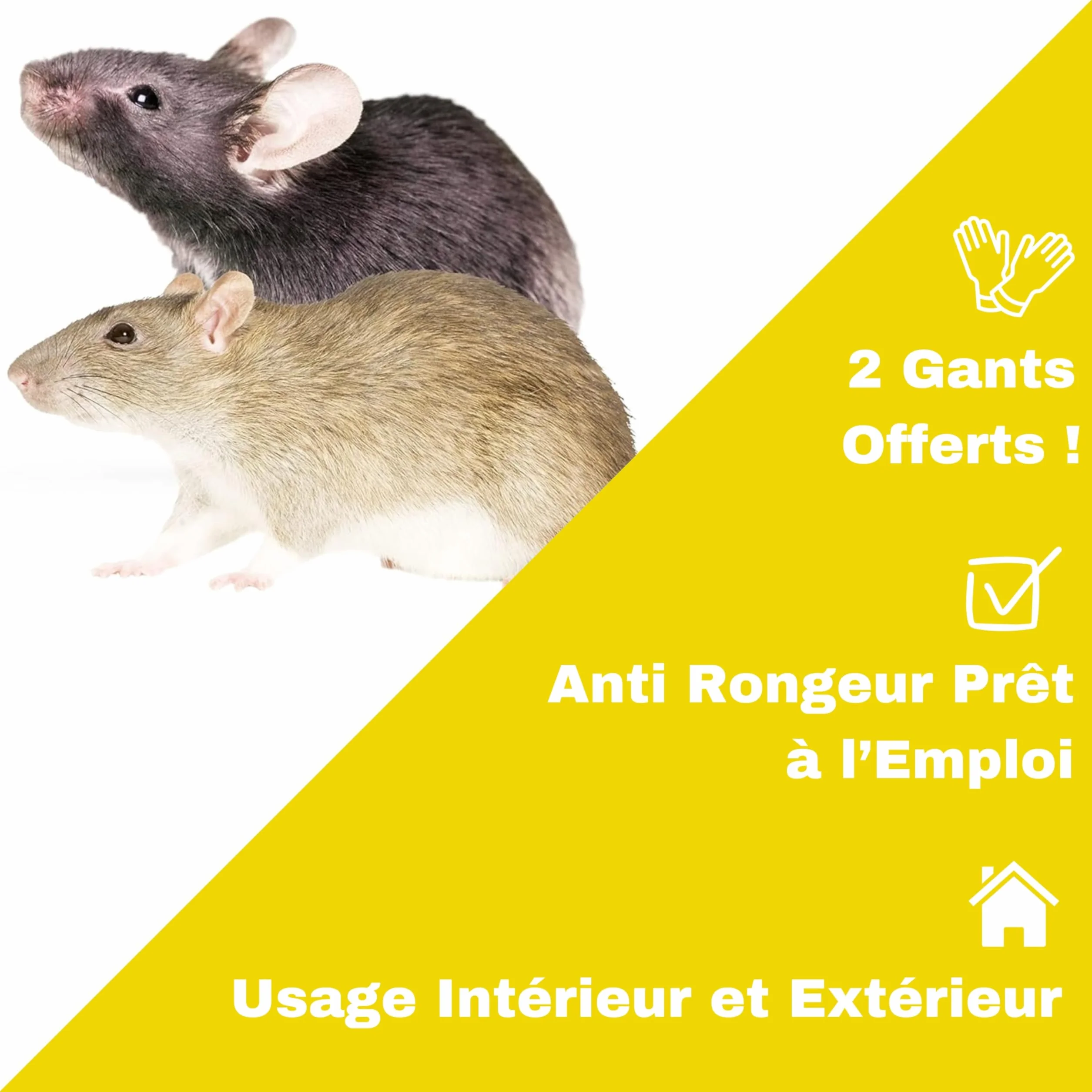 Raticide Appât Poison 300g - Élimination Rats et Souris - Intérieur Extérieur - Anti Rongeur Efficace