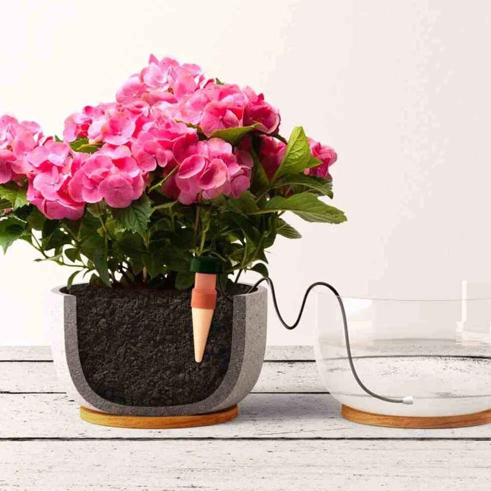 Blumat Lot de 6 Distributeurs d'Eau pour Plantes d'Intérieur