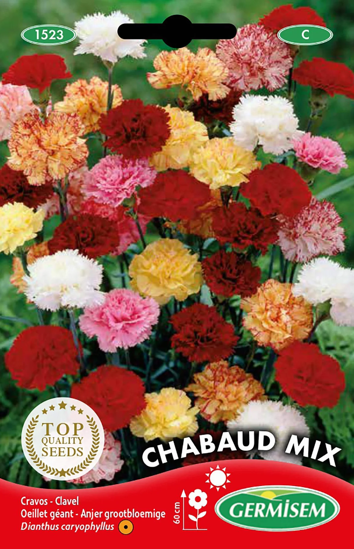 Germisem Graines Oeillet géant CHABAUD MIX