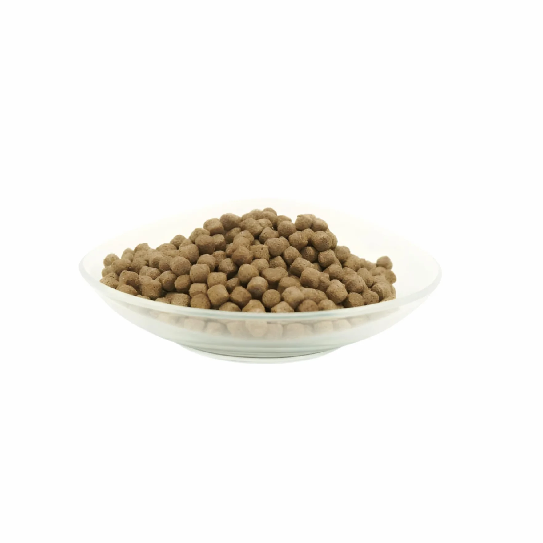 Nourriture pour carpes koï 10 kg 6 mm Actigen FORPLUS algues oméga-3