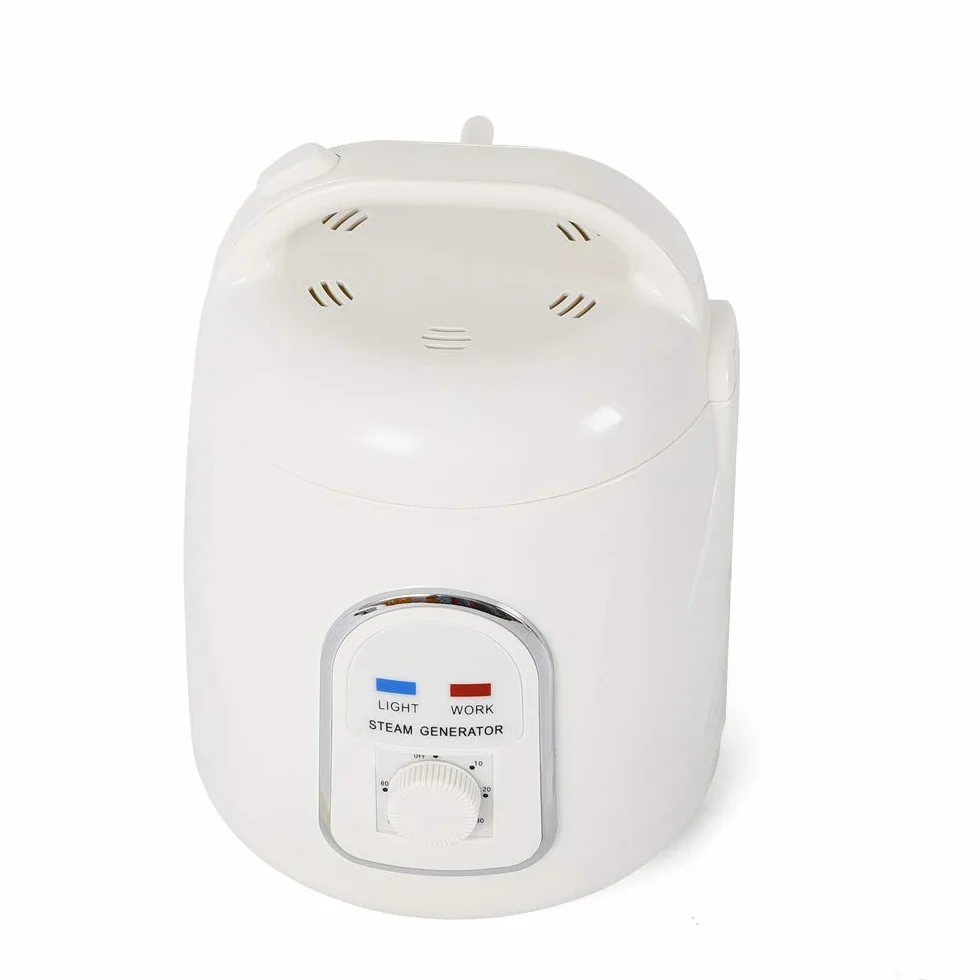 Générateur de vapeur 900 W 1,5 l Portable avec minuterie