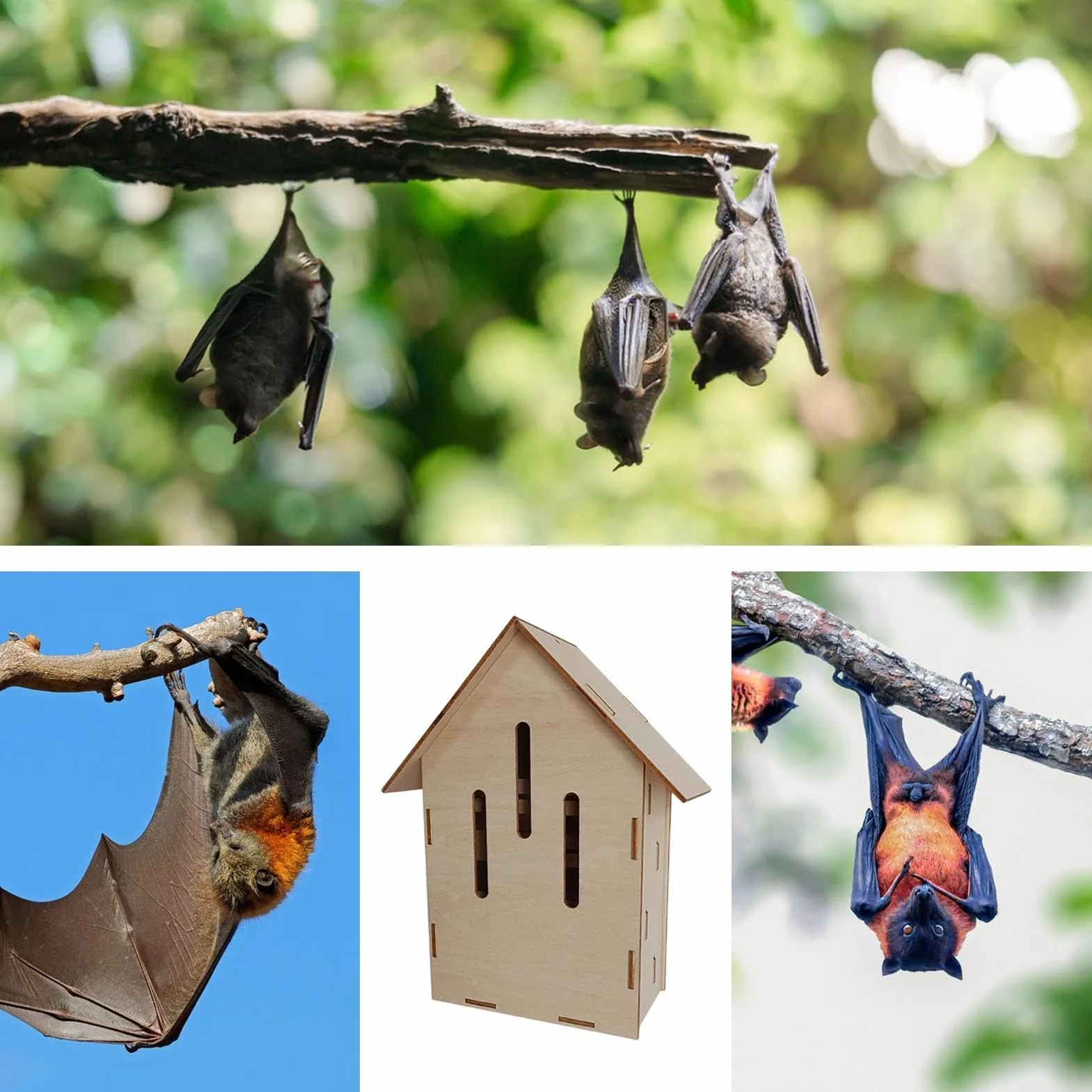 Nichoir à Chauves-Souris en Bois Habitat Animal Extérieur Cavité de Repos