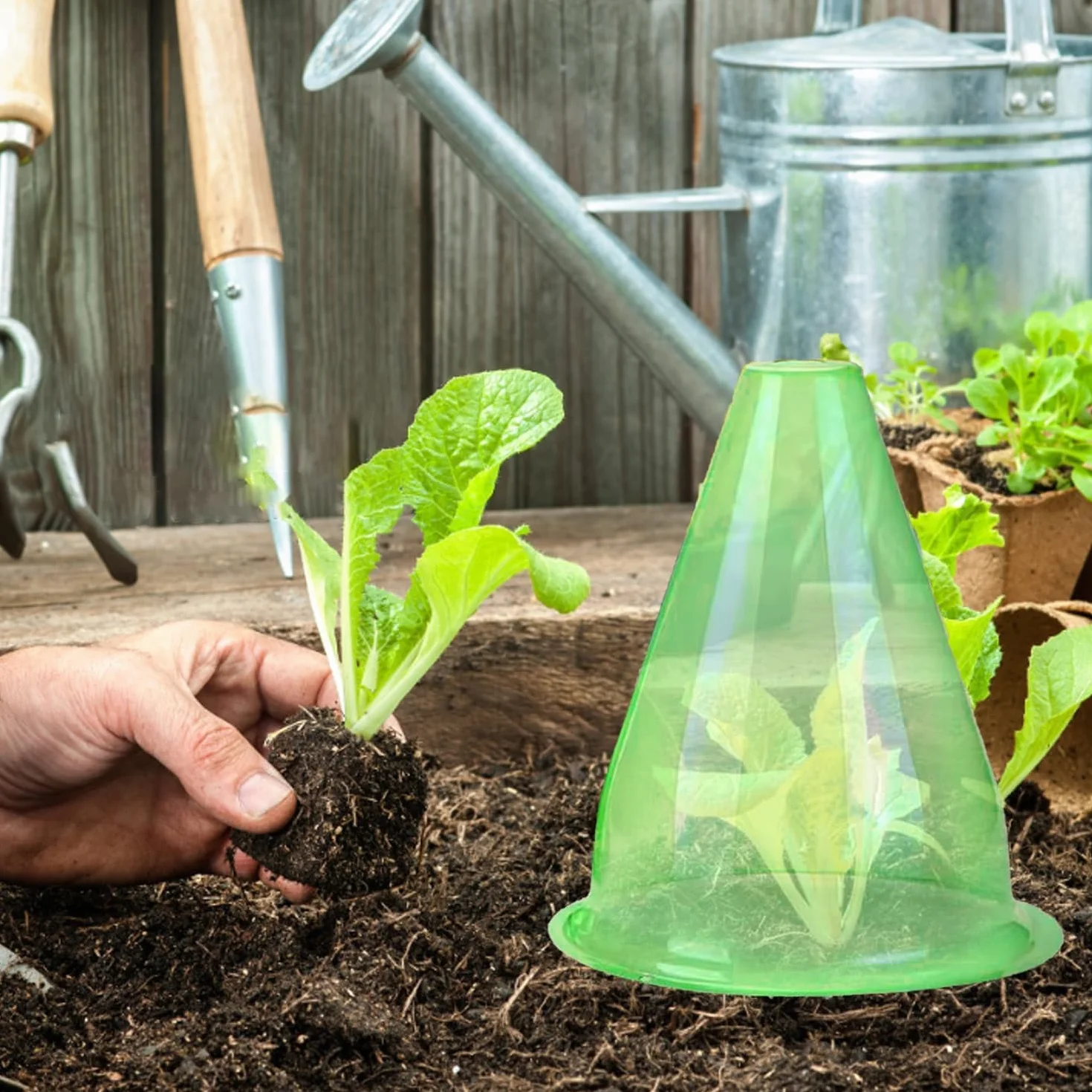 Cloches pour Plantes de Jardin 24 Pièces 24CM x 20CM Couvercle en Plastique Protection Contre Soleil Neige Gel Oiseaux Insectes