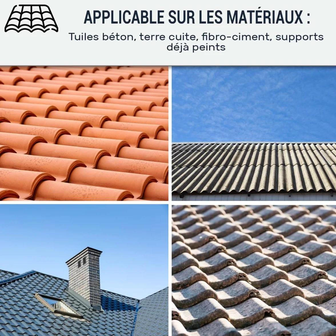 ARCANE INDUSTRIES Peinture toiture, tuile, ciment et terre cuite - 10 L Brun Orangé - RAL 8023