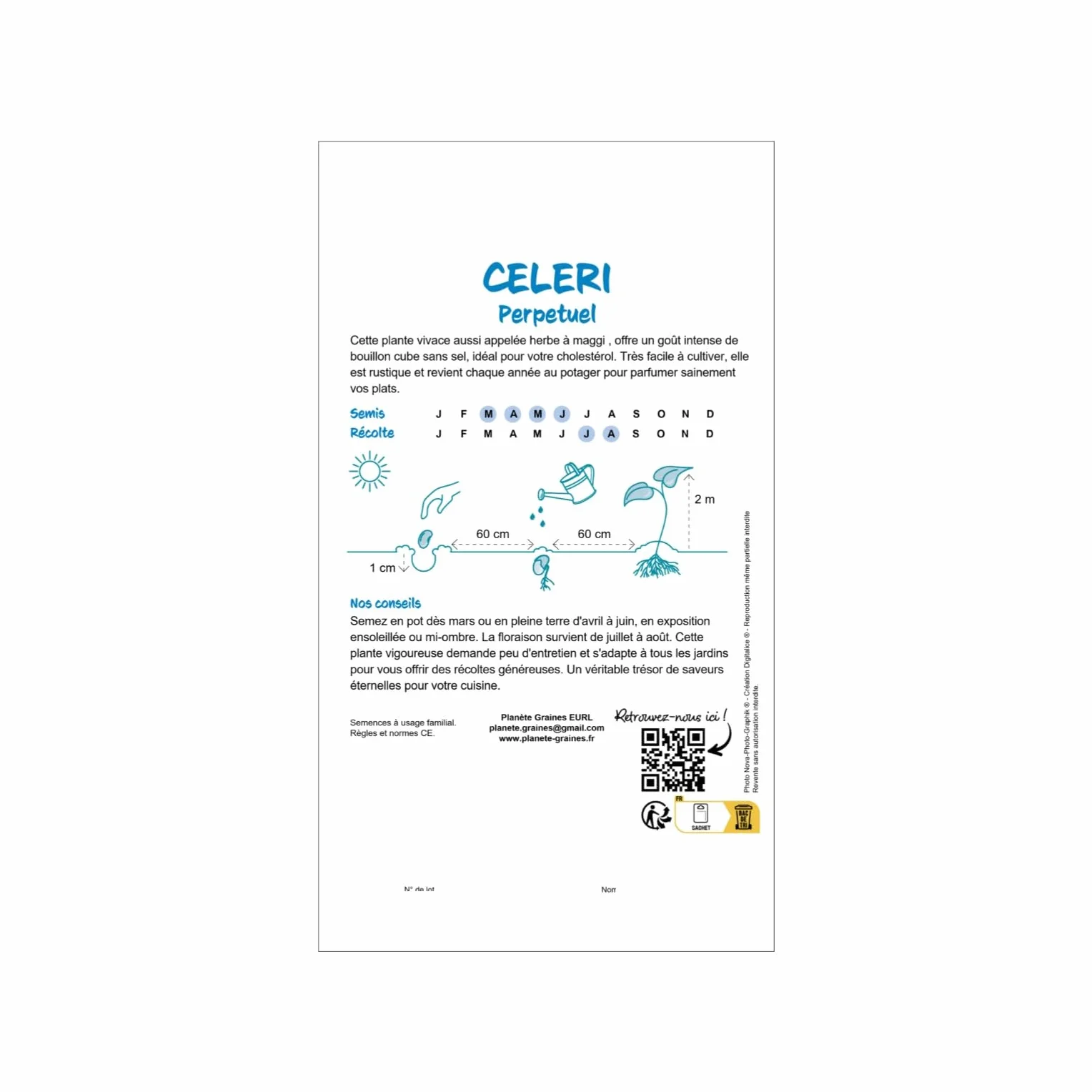 Céleri perpétuel aromatique robuste - 100 graines