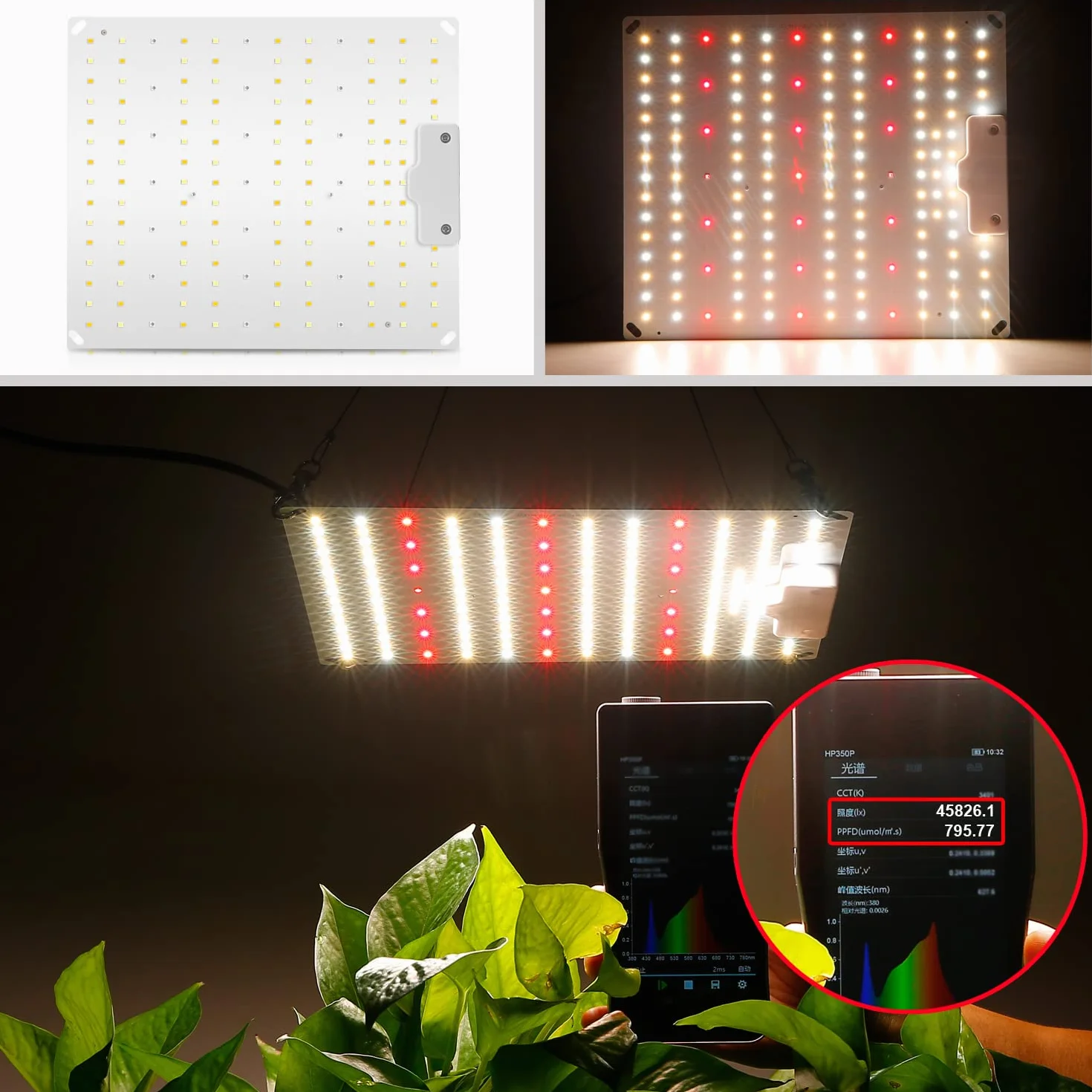 VAYALT Lampe LED Horticole 500W Spectre Complet pour Croissance Floraison Plantes Intérieur Hydroponic
