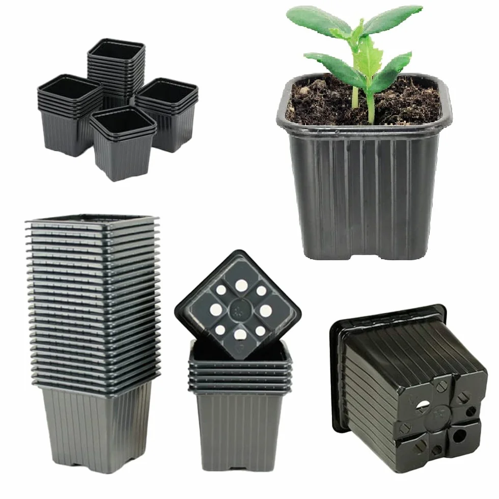 HYDROPLANETE Godets pour Semis 7x7 8x8 9x9cm Lots de 24 50 100 1000 Pots Plastique Réutilisable