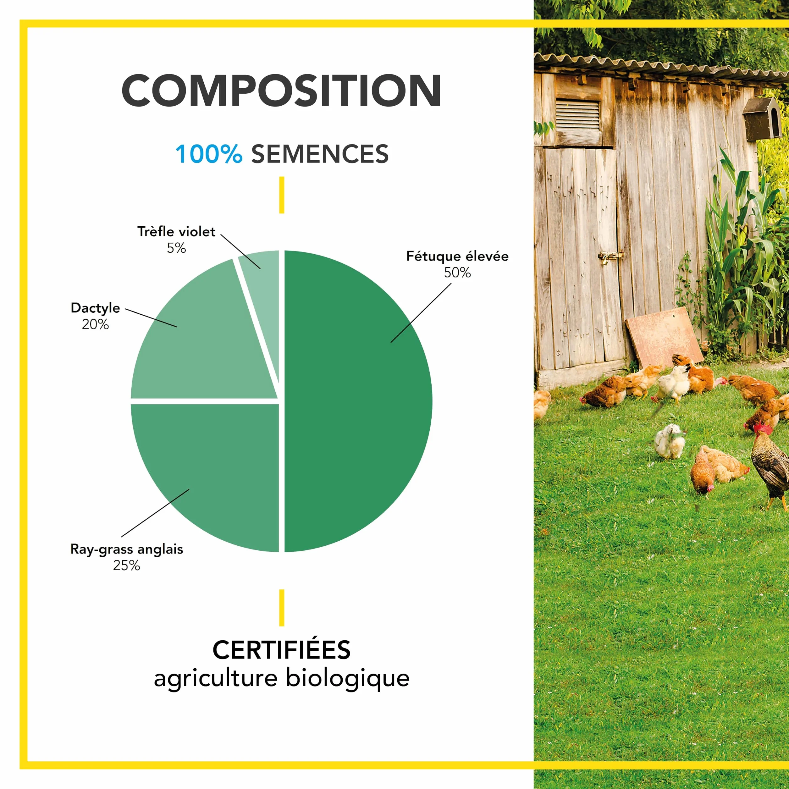 BARENBRUG Mélange Basse-cour BIO Production d’Œufs de Qualité 250G
