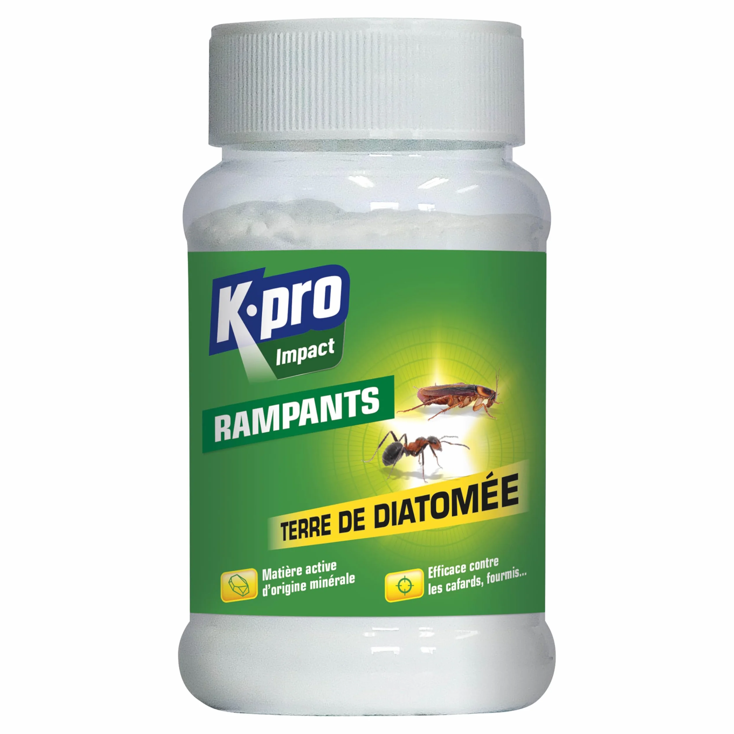 Terre de Diatomée Punaises de Lit Poudre 100g Naturel Élimine Fourmis Cafards Blattes Puces