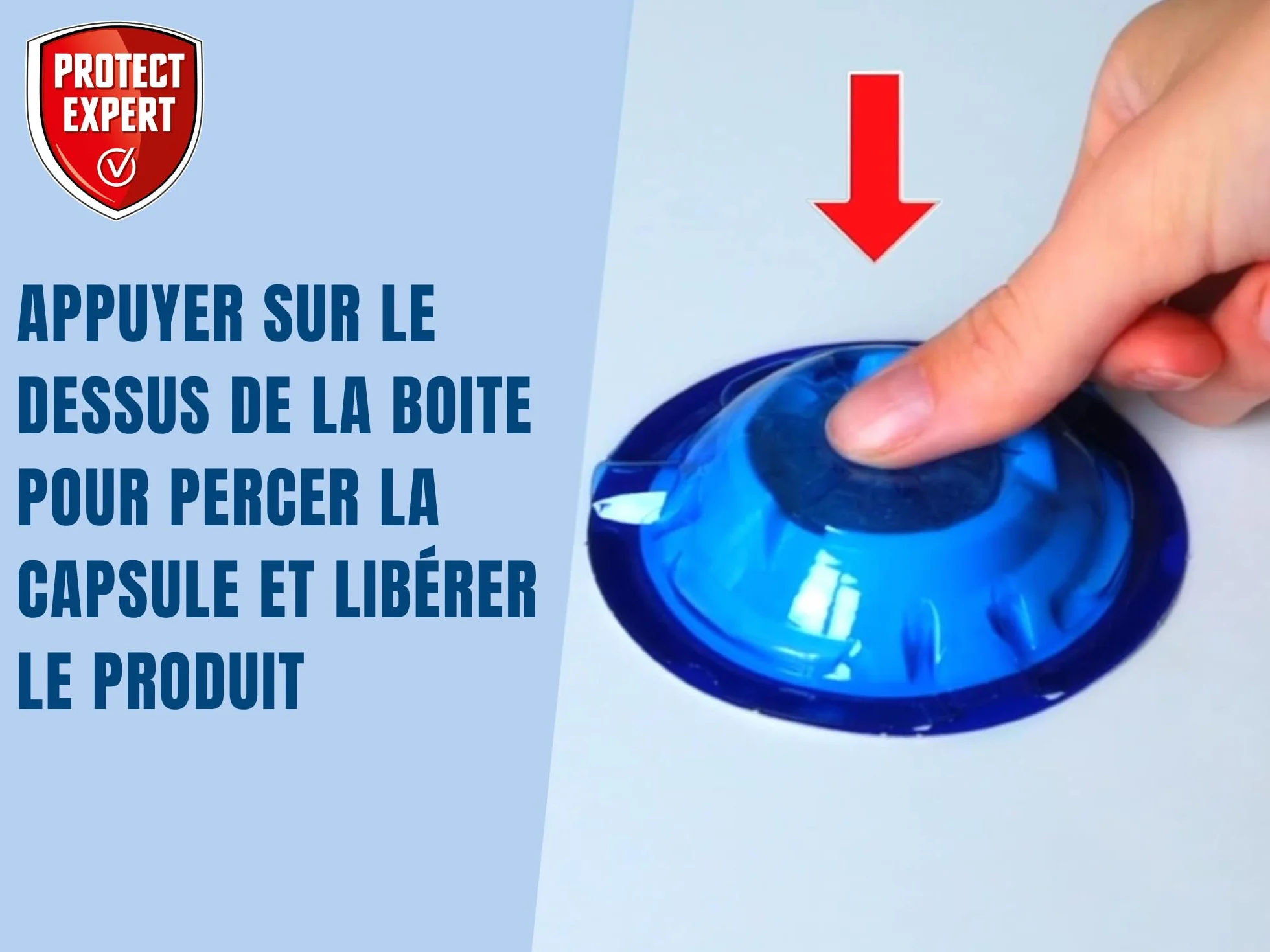 PROTECT EXPERT Boîtes Appât Anti-Fourmis x4 - Protection 12 Semaines Intérieur Extérieur