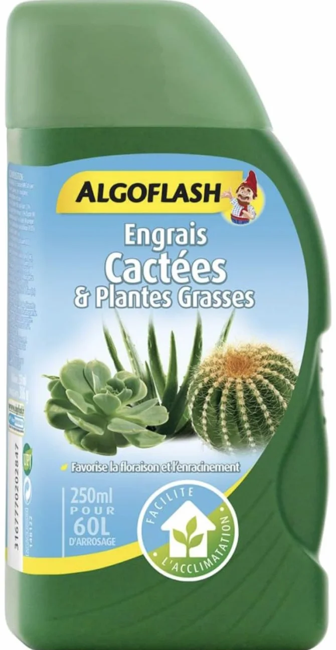 ALGOFLASH Engrais cactées Plantes Grasses 250ml