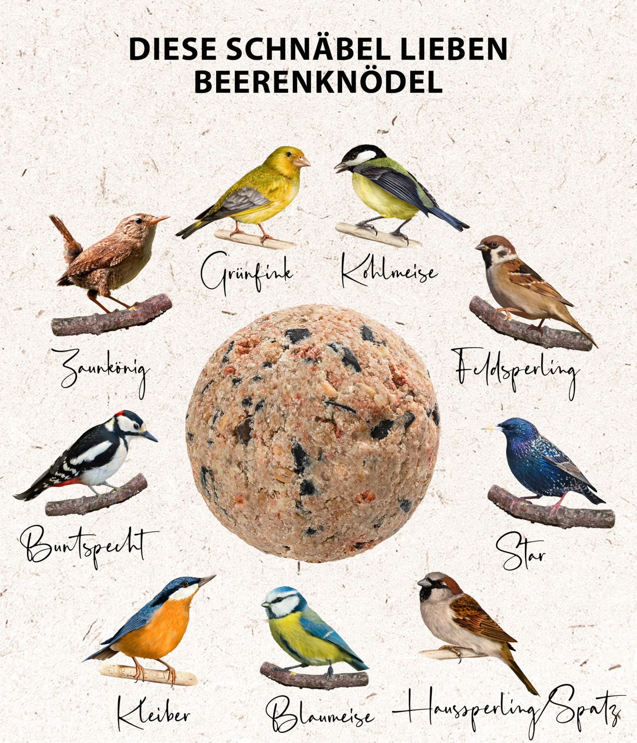 Dehner Natura Nourriture pour Oiseaux Sauvages, Boules de Graisse aux Baies, 30 pièces 90 g (2,7 kg)
