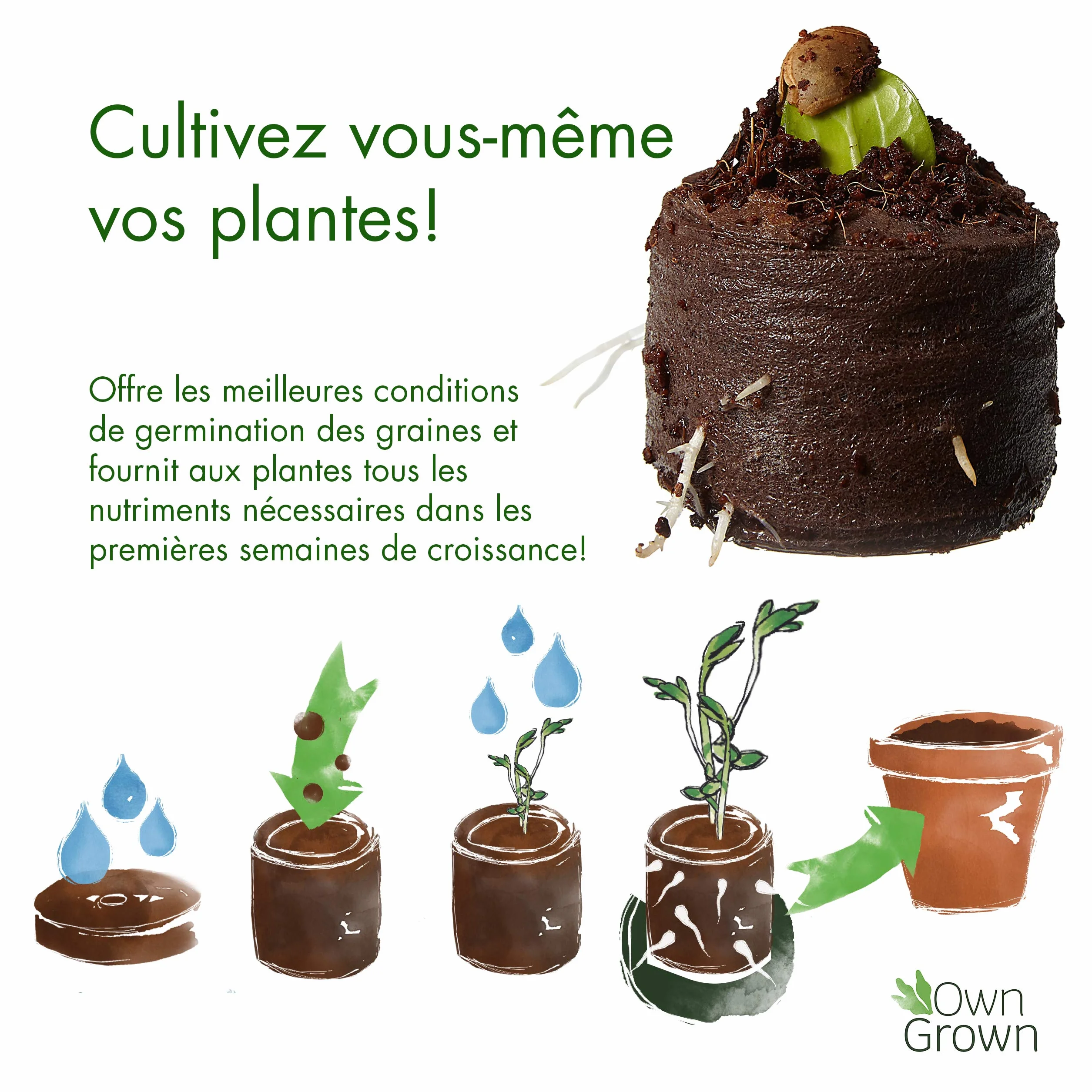 Lot de 50 Pastilles Coco Semis Fibre Naturelle 16.5x12.5x9cm Jardinage