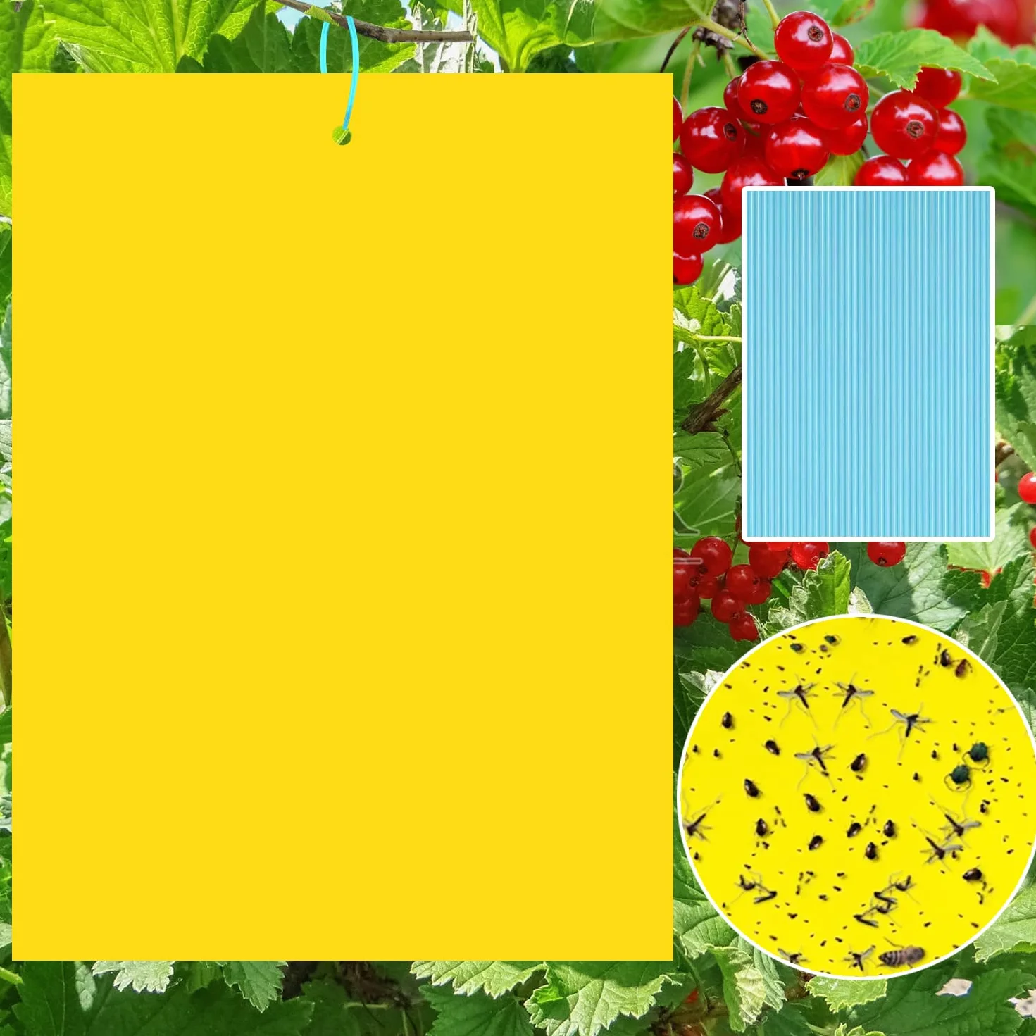 Pièges à Insectes Double Face Jaune 40 Pièces Papier Anti-Mouches