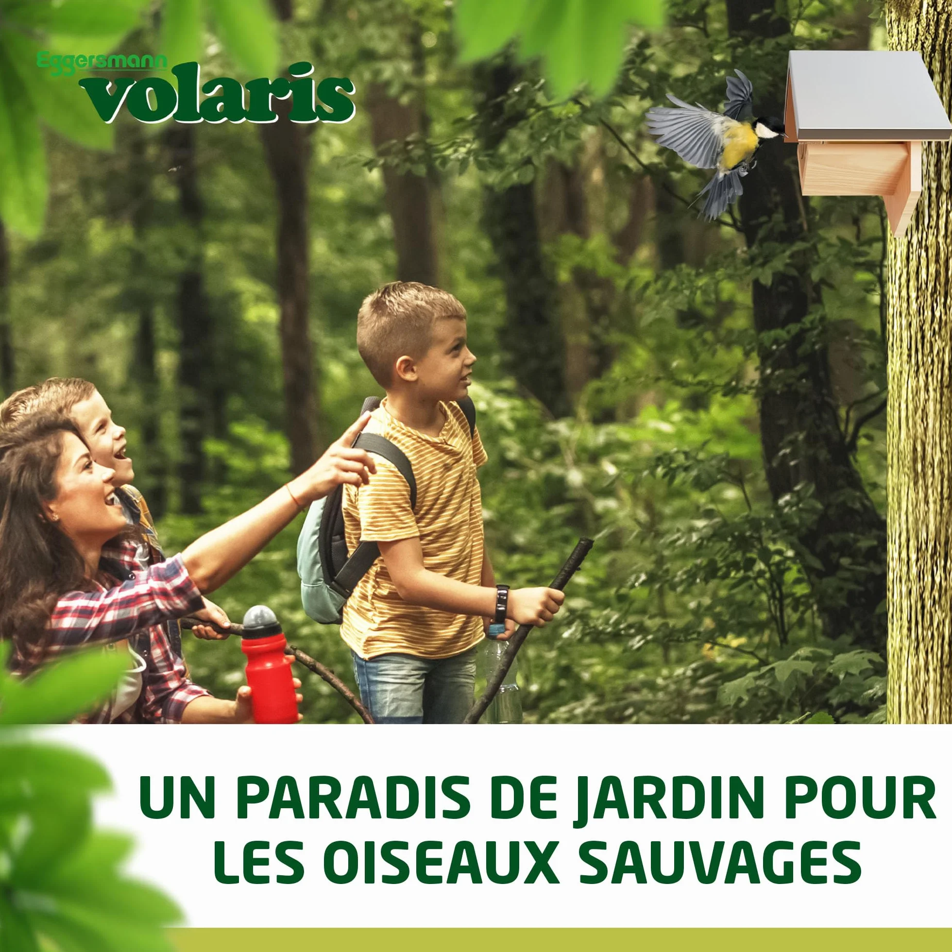 Eggersmann Volaris Beurre de Cacahuètes pour Oiseaux Sauvages 3 x 350 g Riche en Calories