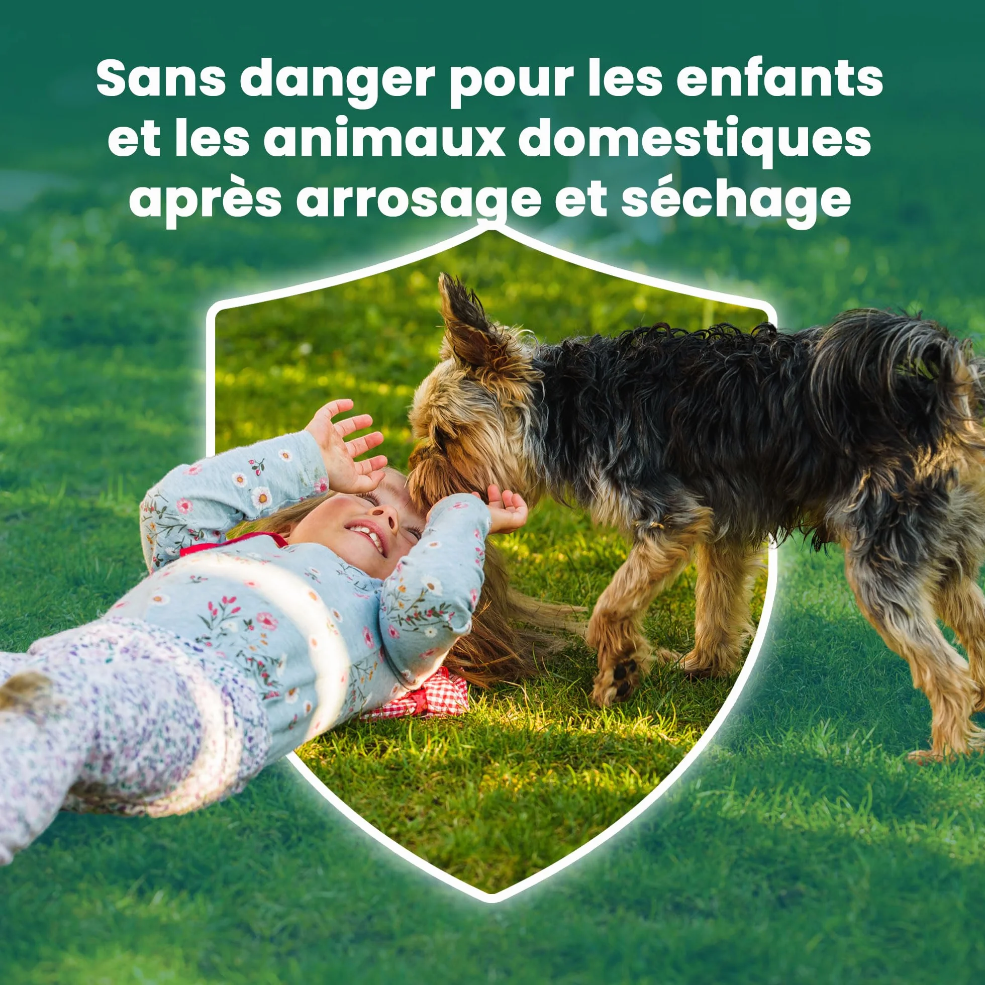 LERAVA Engrais Gazon Printemps Marathon NPK libération lente anti mousse – Fertilisant pelouse azote