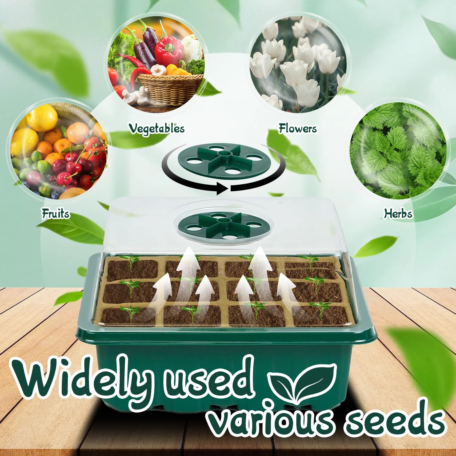 Mini Serre pour Plantes, 10 Pièces 120 Cellules Plaque Semis, Pots de Pépinière Biodégradables, avec Dôme de Ventilation, Vert