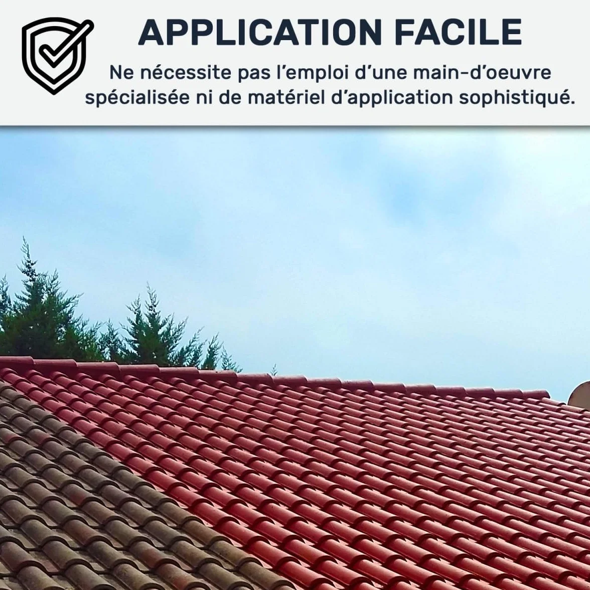 Étanchéité Toiture : Peinture résine d'étanchéité ARCAFILM pour Toit et Tuile - 2.5 L Tuile - ARCANE INDUSTRIES