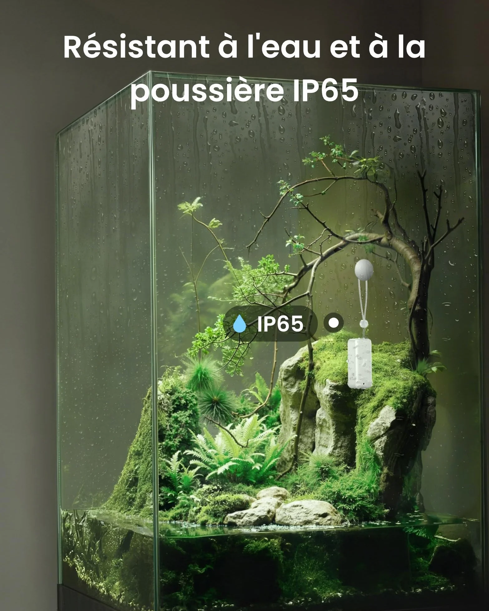 SwitchBot IP65 Hygromètre Thermomètre Intérieur Extérieur Bluetooth 100m Capteur Humidité 2 Ans Piles