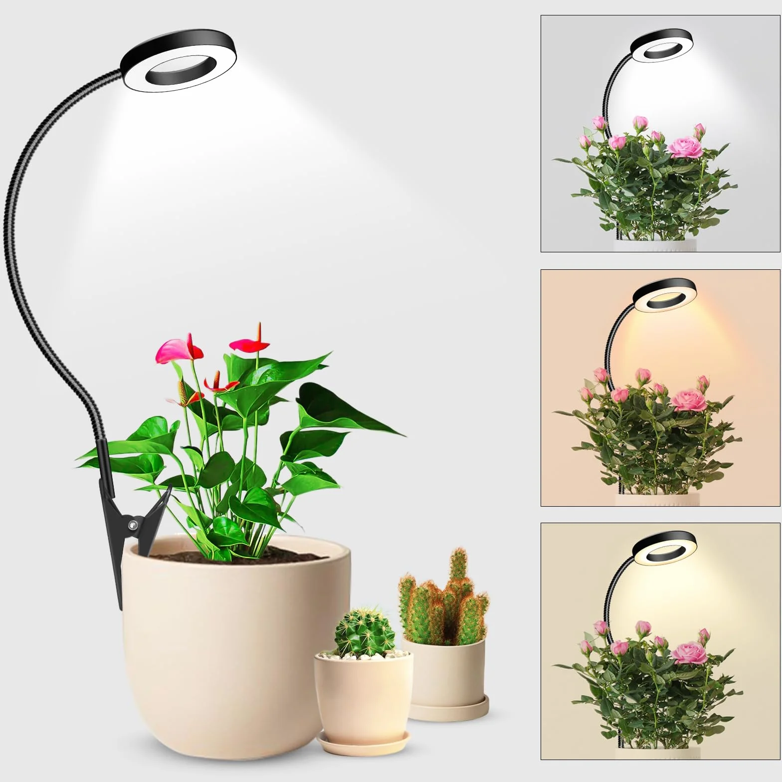 LED Pflanzenlampe Vollspektrum 6500K Grow Light mit 360° Schwanenhals, 3 Farbtemperatur, 5 Helligkeit, Timer