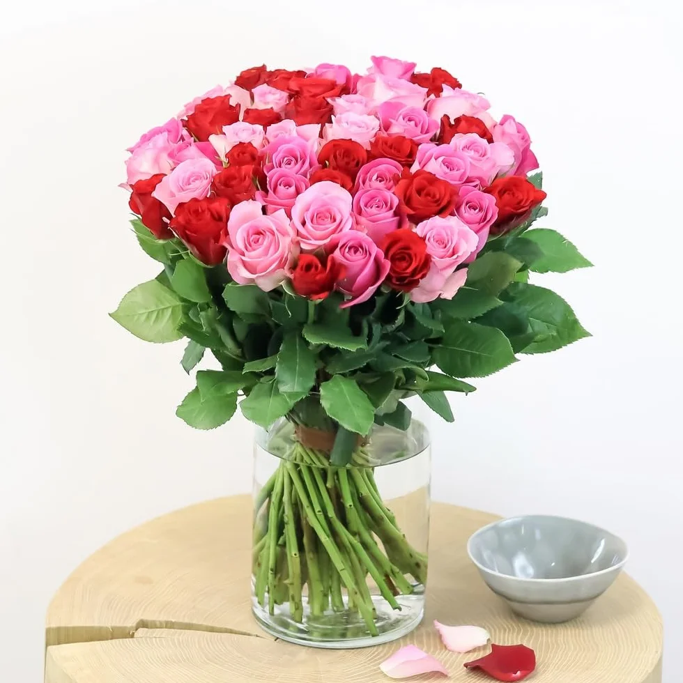 Brassée de Roses Max Havelaar 50 Tiges Grand Bouquet Fleurs Fraîches Commerce Équitable